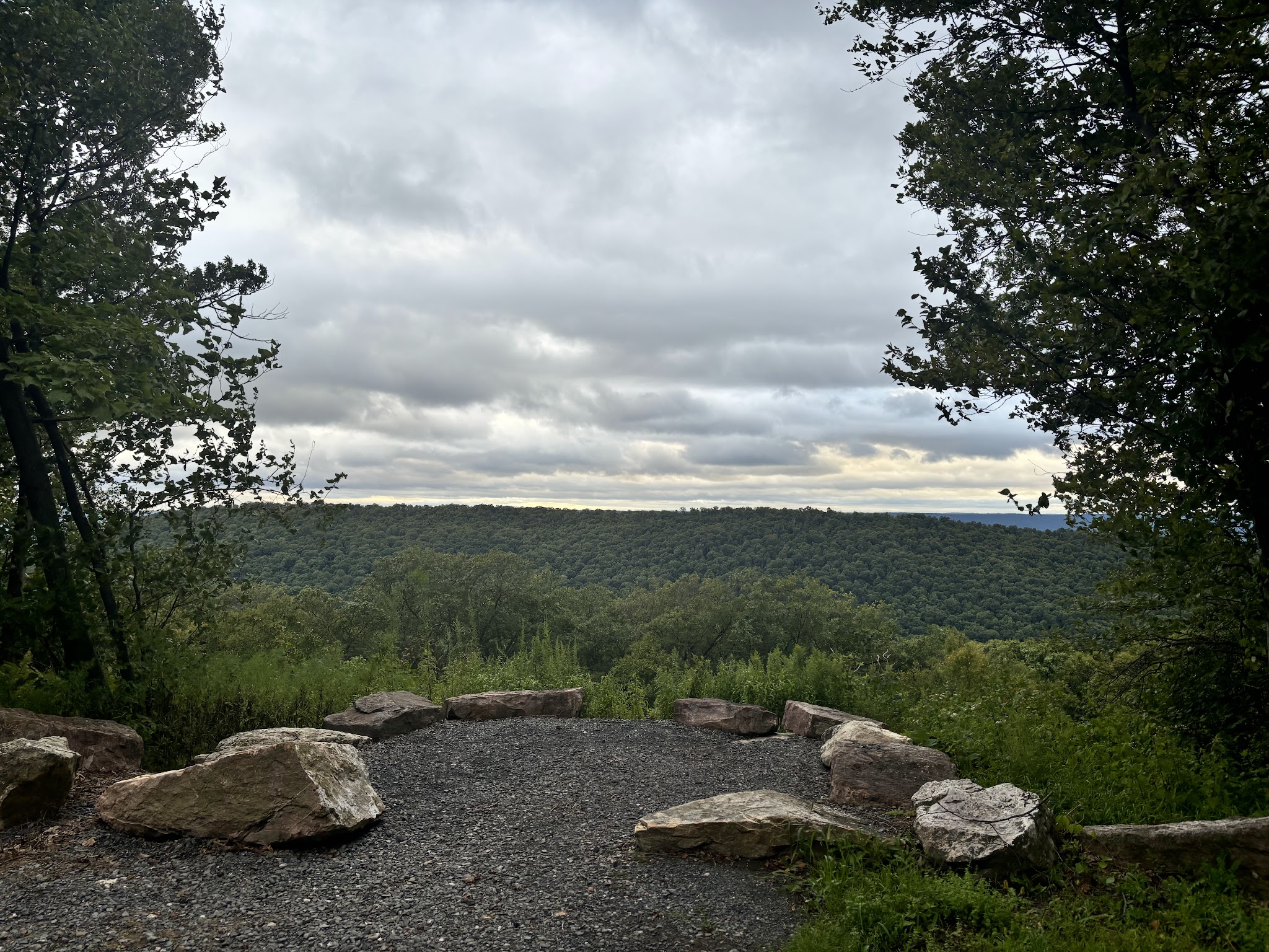 Tuscarora State Forest
