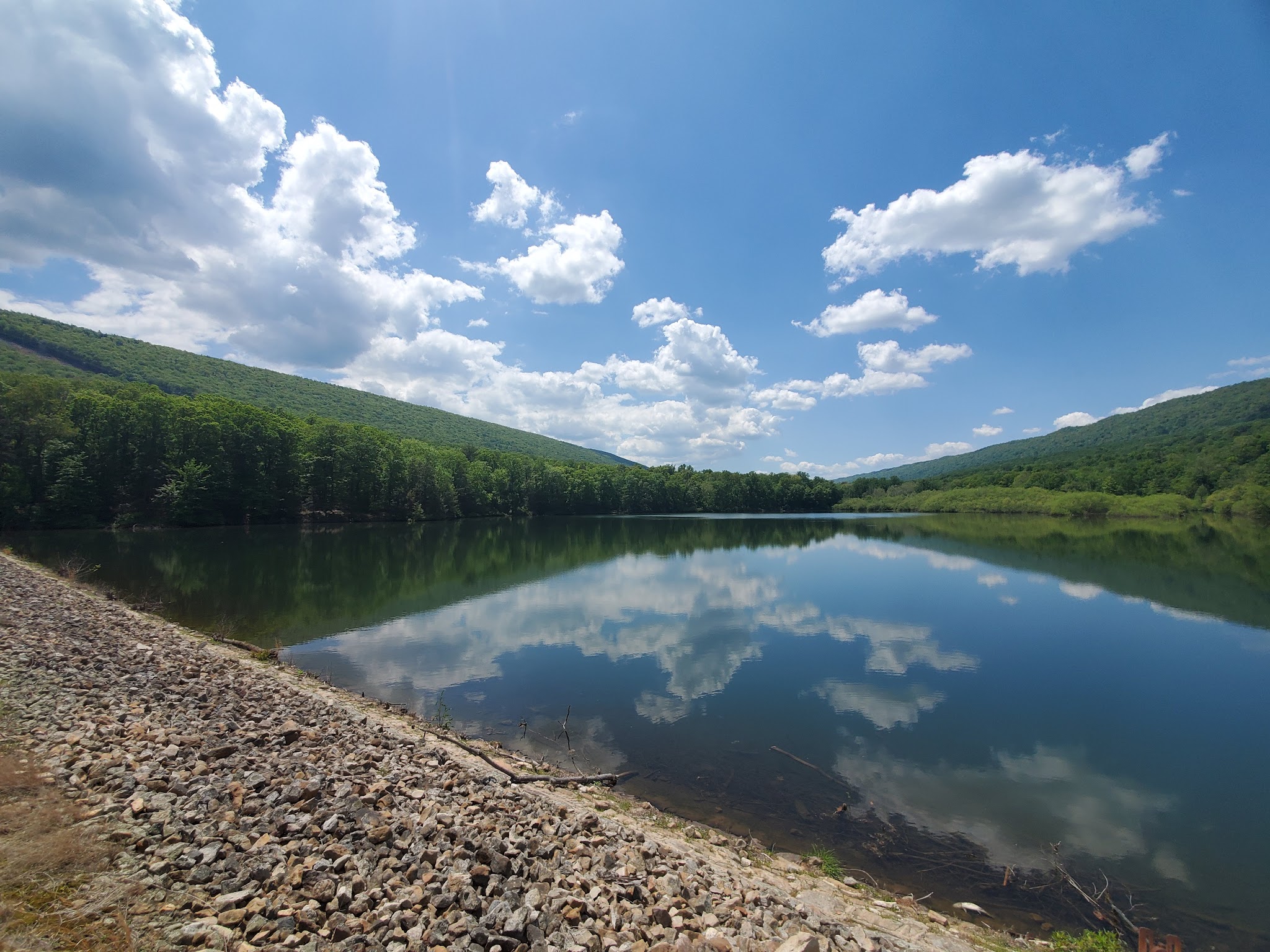 Tuscarora State Forest
