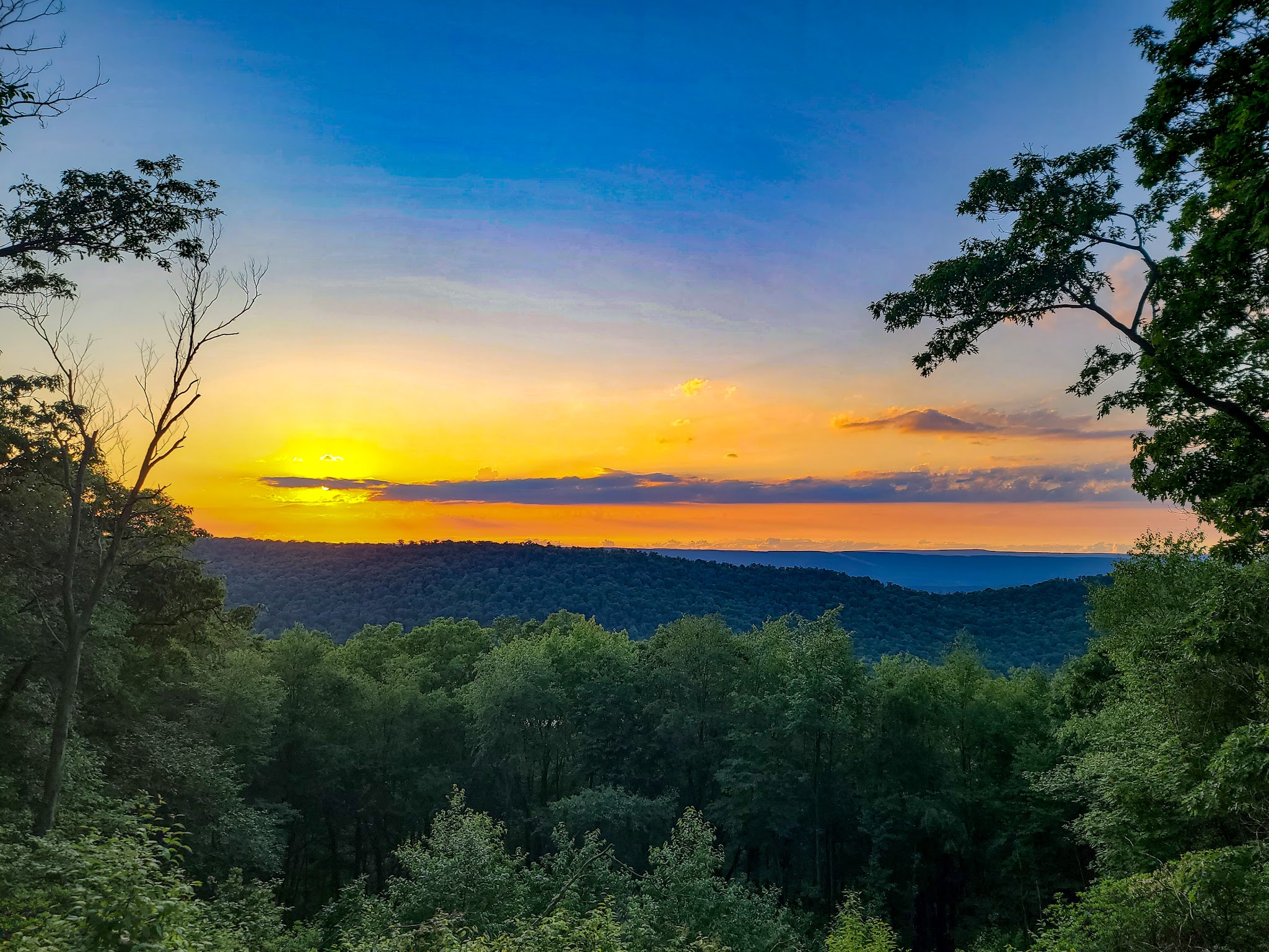 Tuscarora State Forest