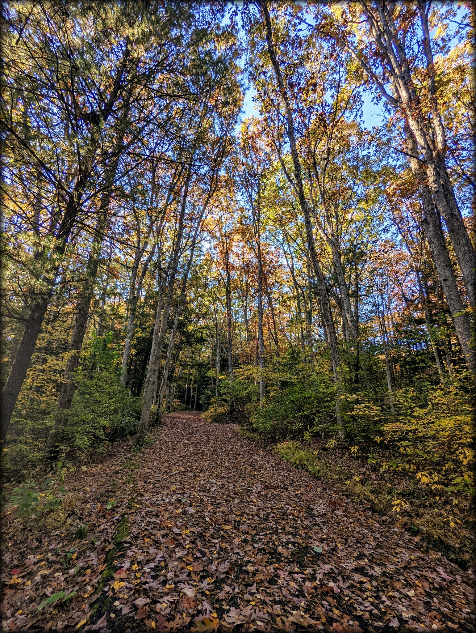 Tuscarora State Park