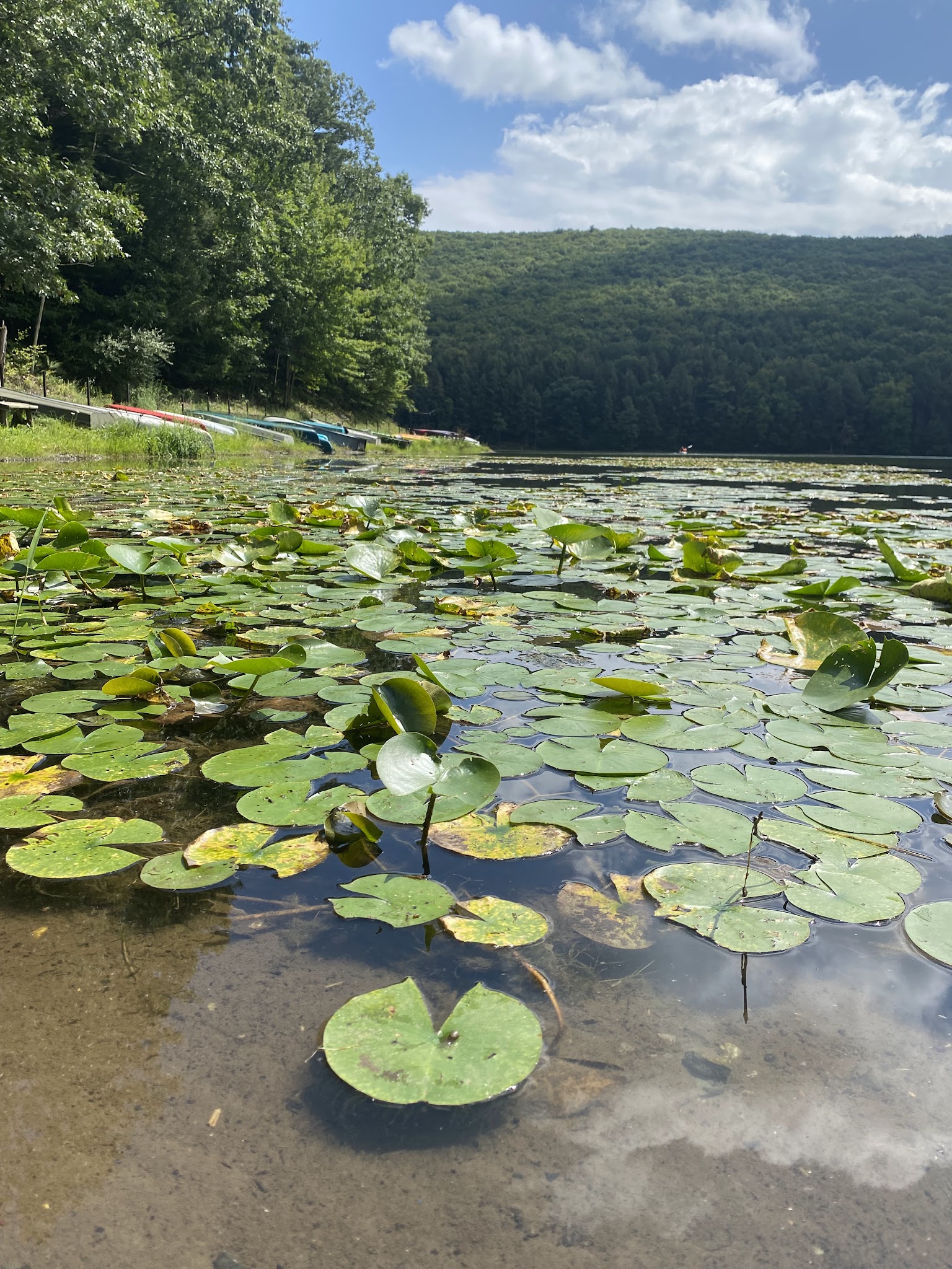 Tuscarora State Park