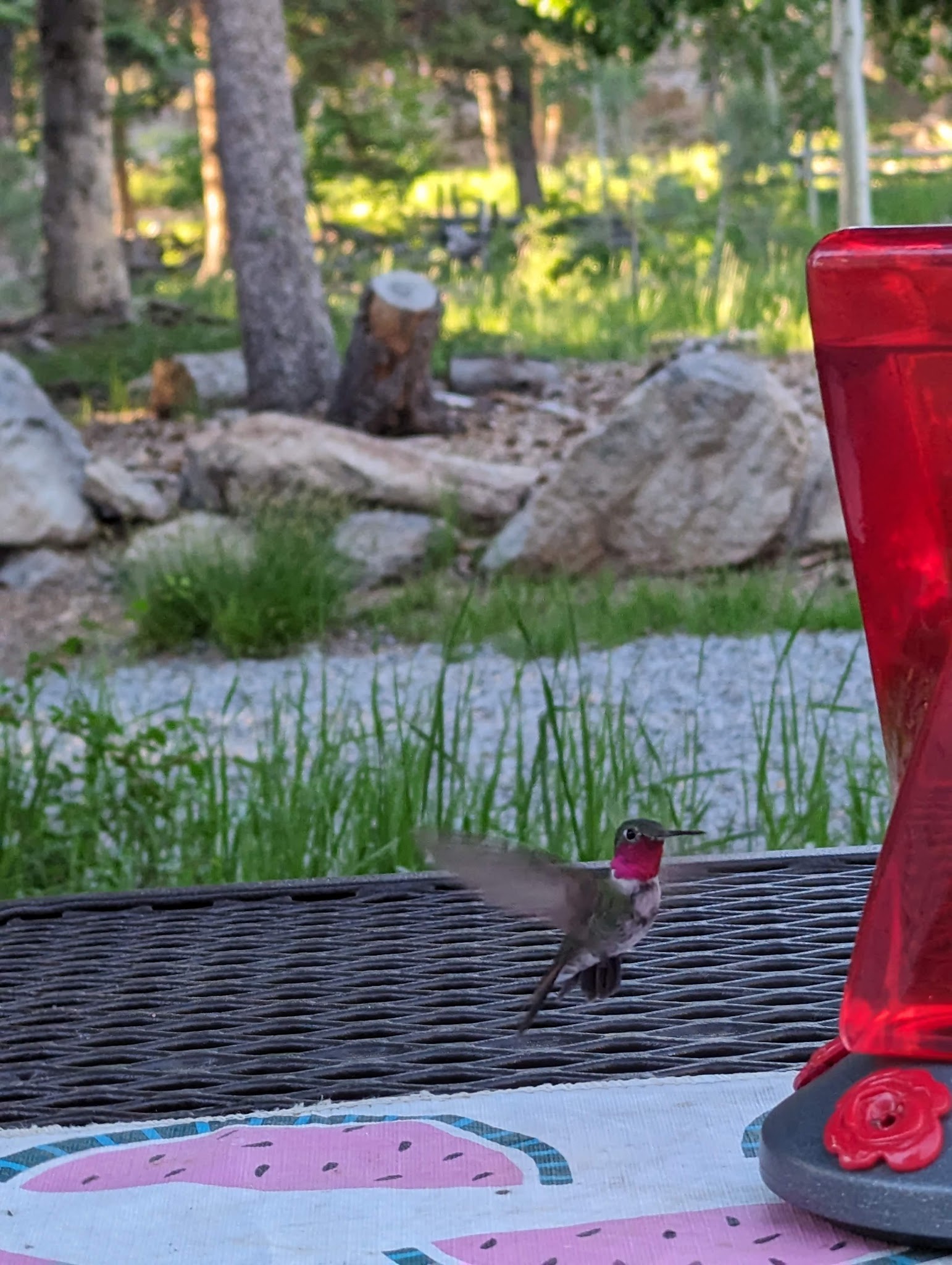 Tushar Lakeside Campground