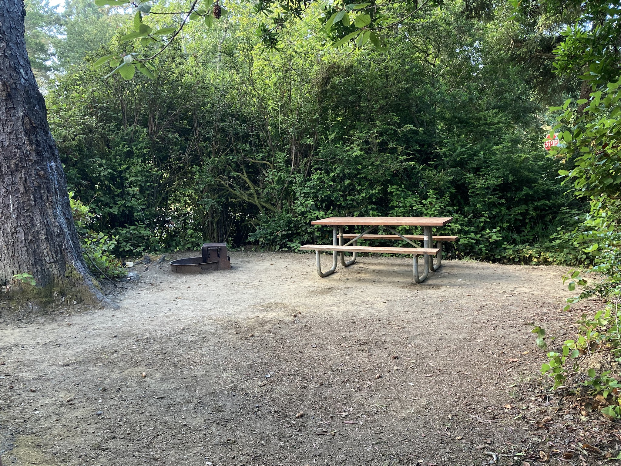 Twin Harbors State Park