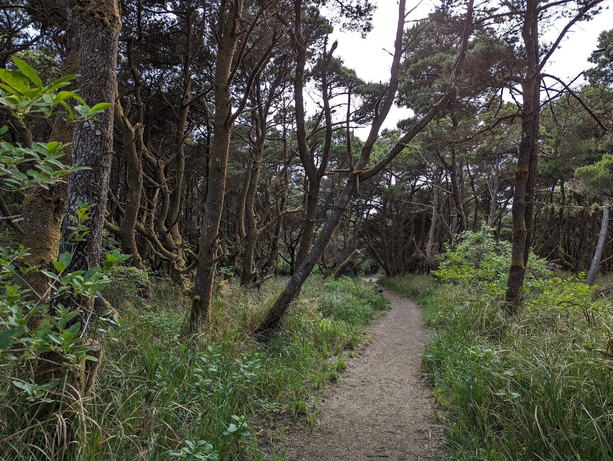 Twin Harbors State Park