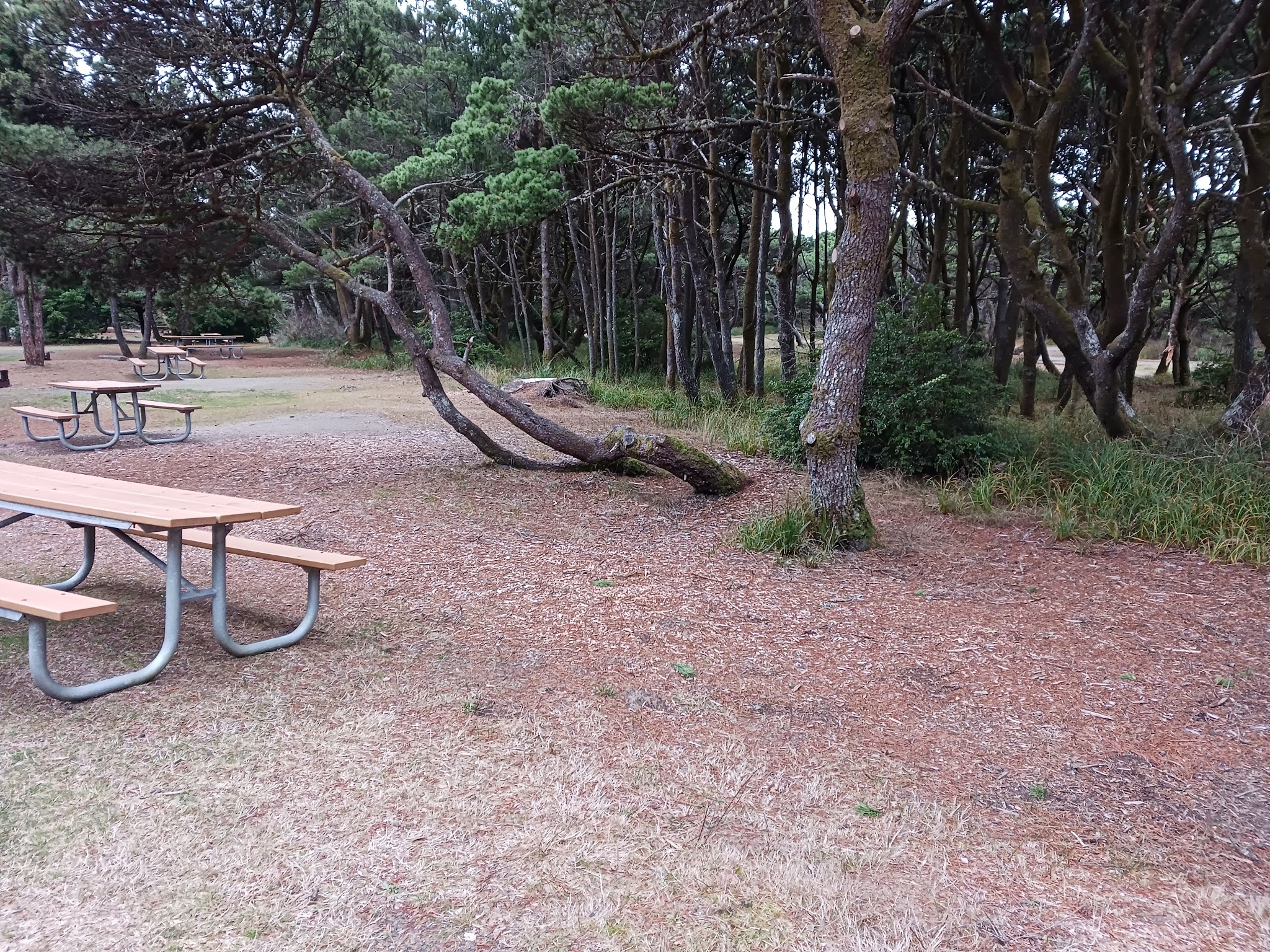 Twin Harbors State Park