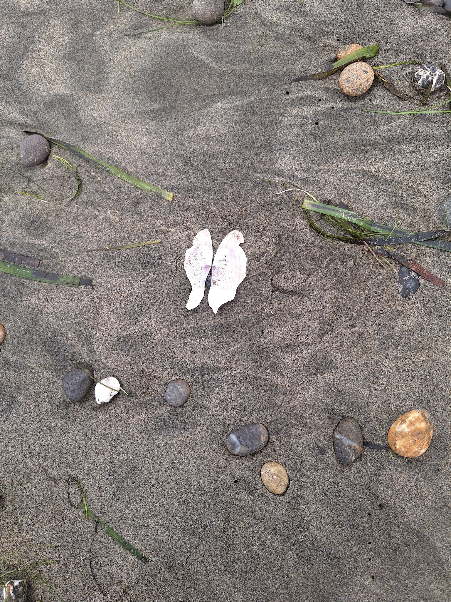 Twin Harbors State Park