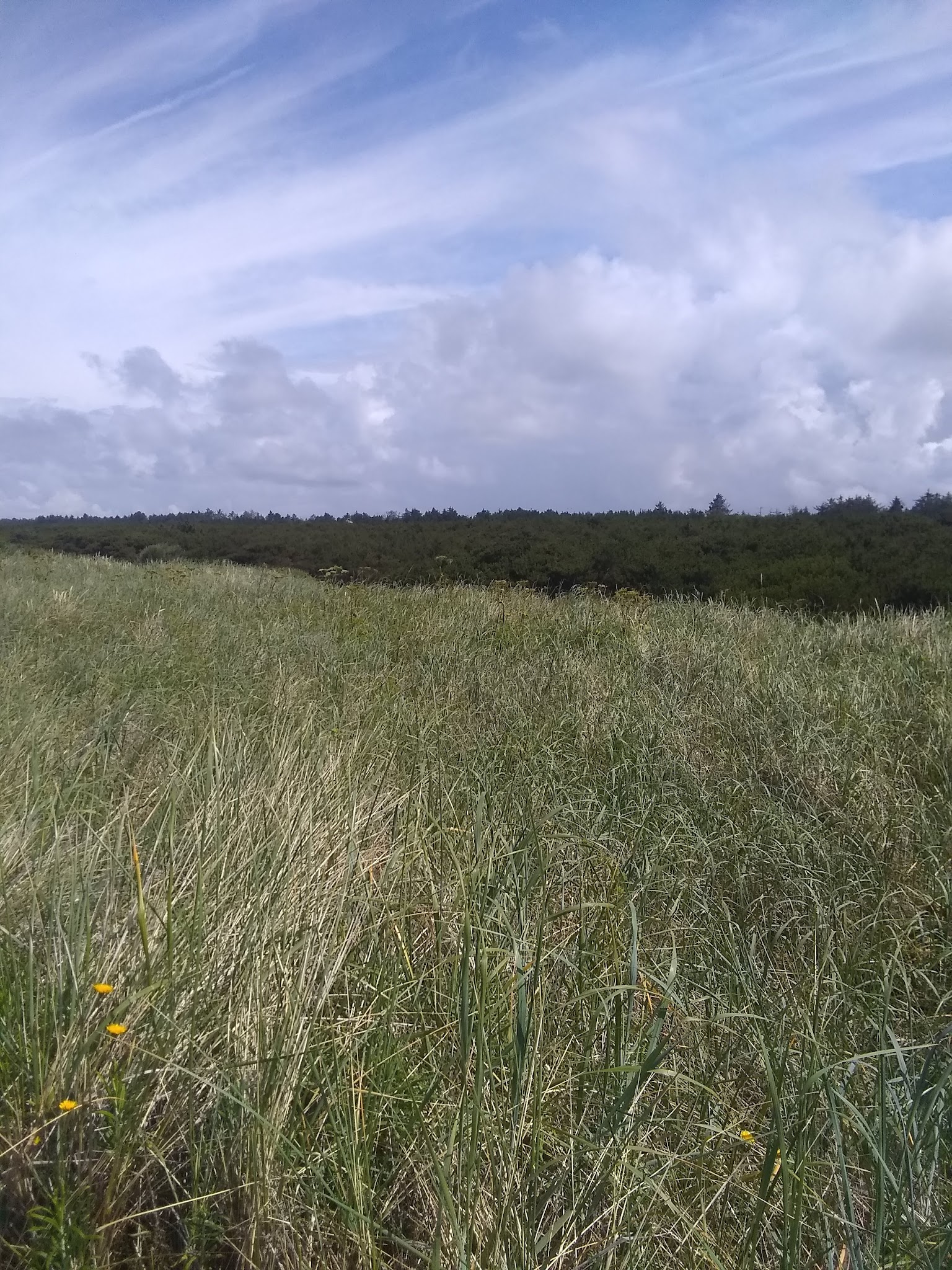 Twin Harbors State Park