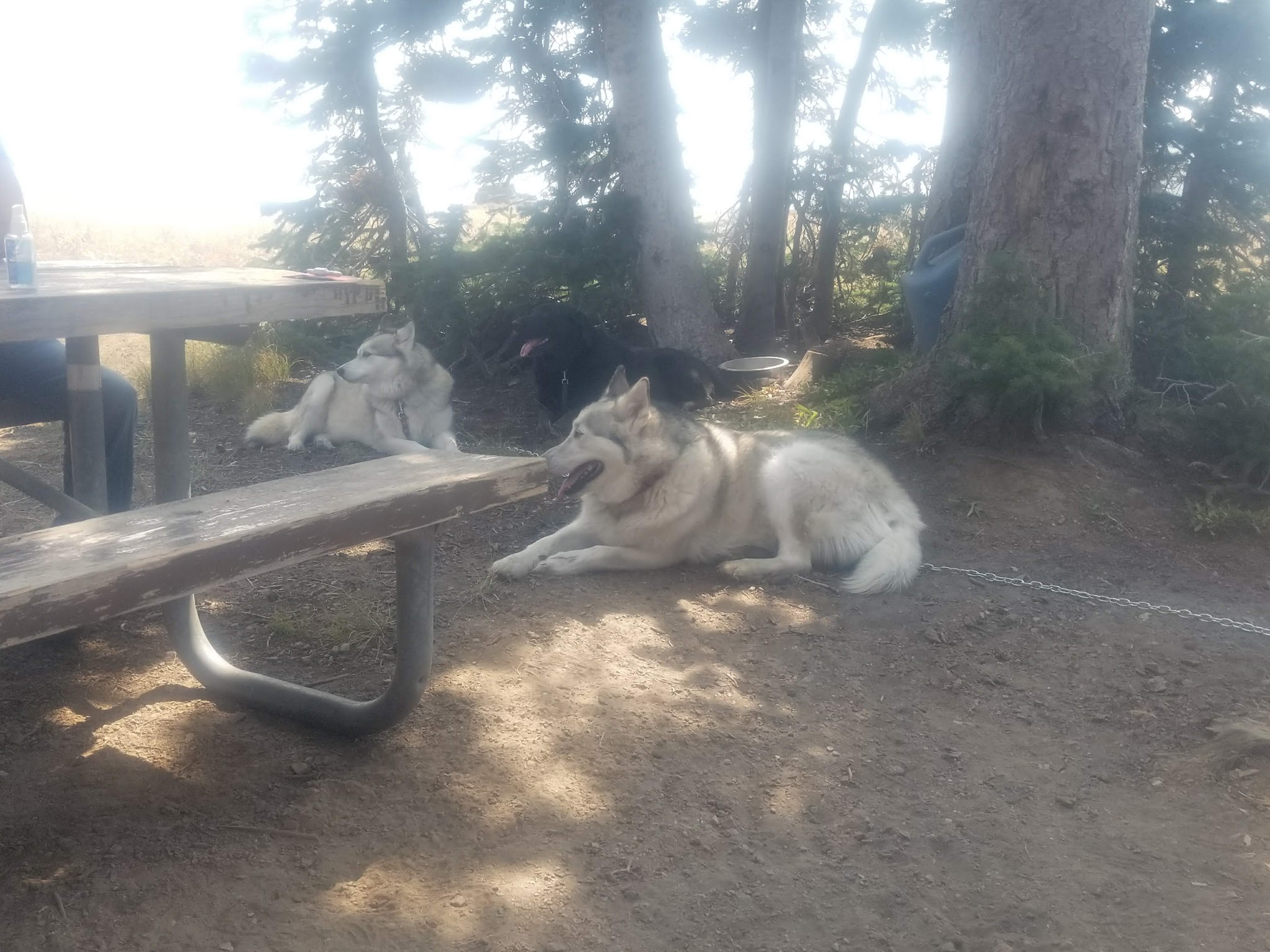 Twin Lakes Campground (Albion Division)