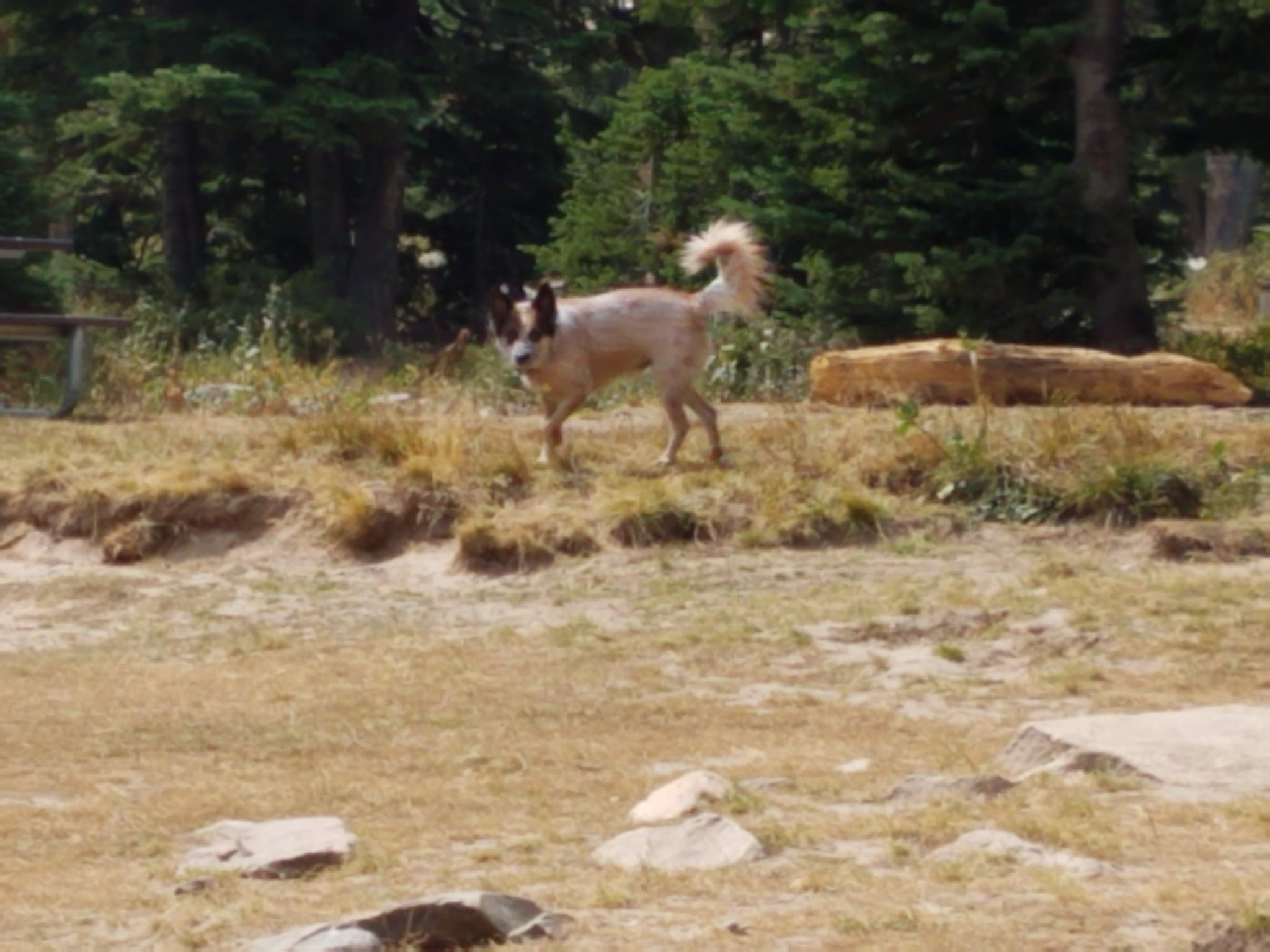 Twin Lakes Campground (Albion Division)