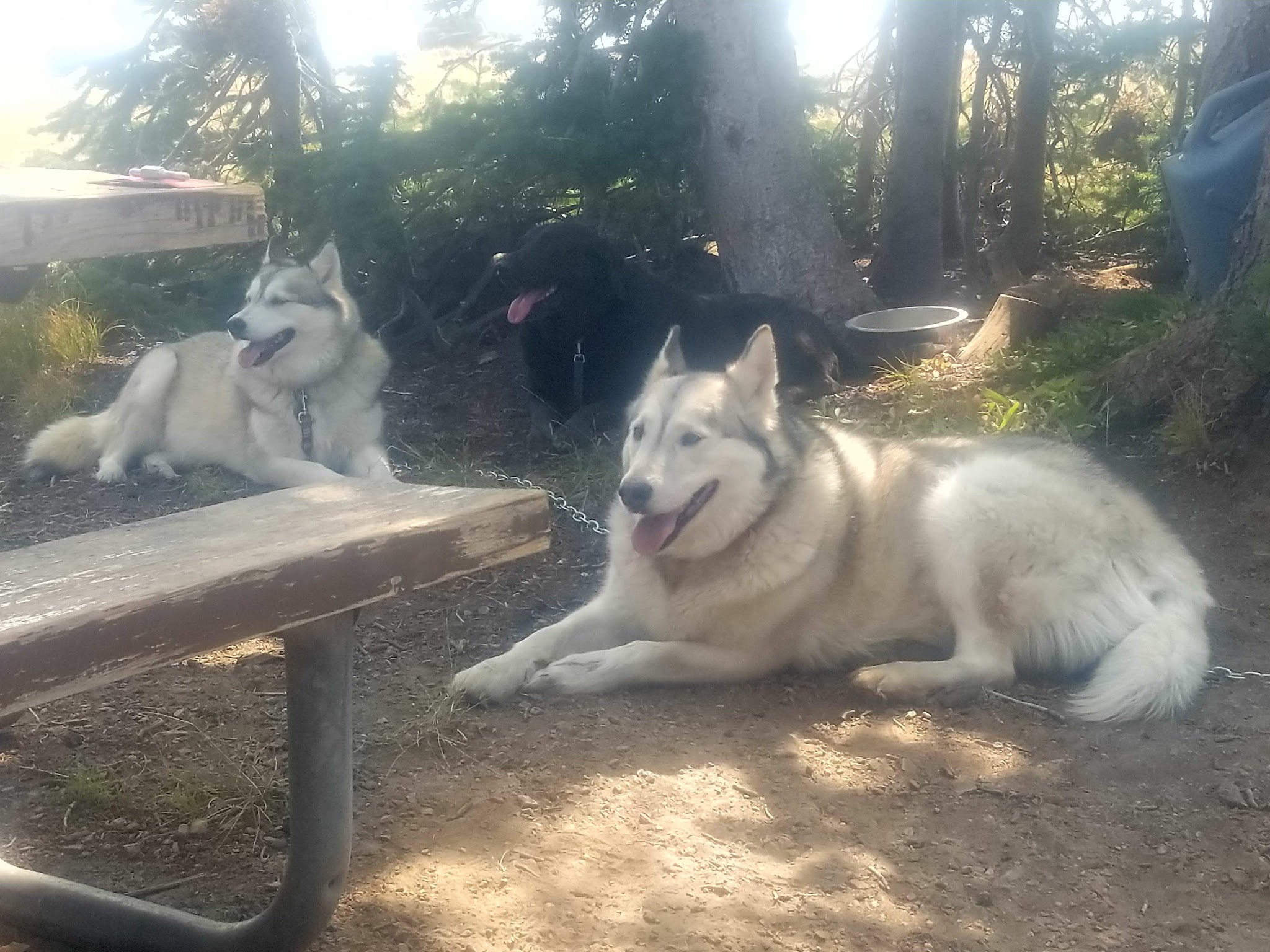 Twin Lakes Campground (Albion Division)