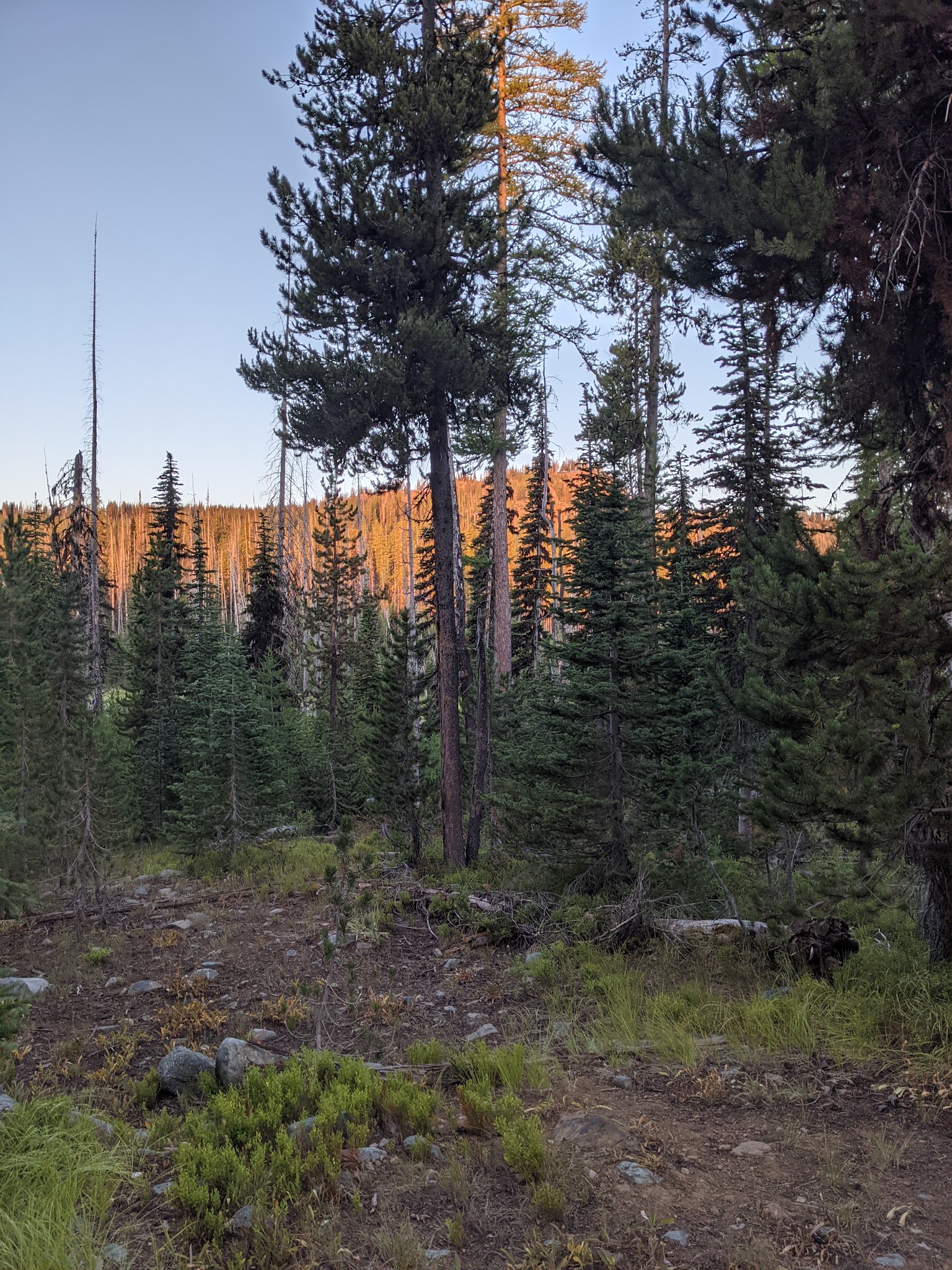 Twin Lakes Campground