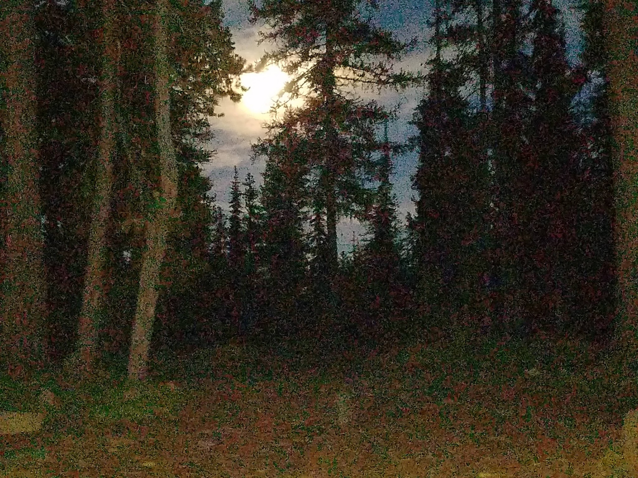 Twin Lakes Campground