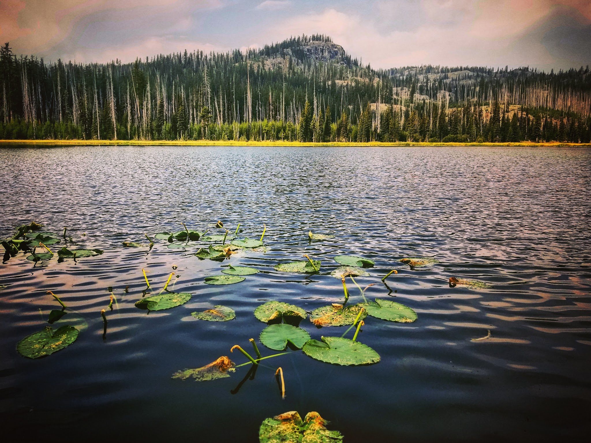 Twin Lakes Campground