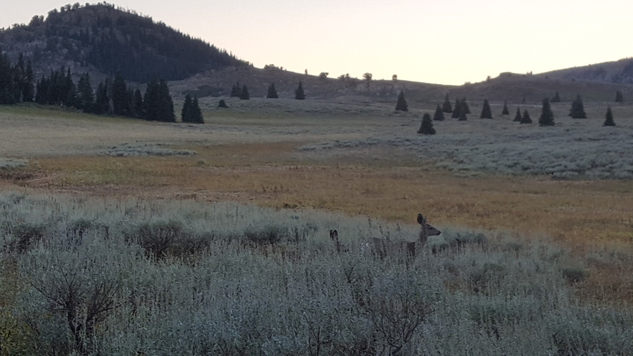 Twin Lakes Campground (Sawtooth)