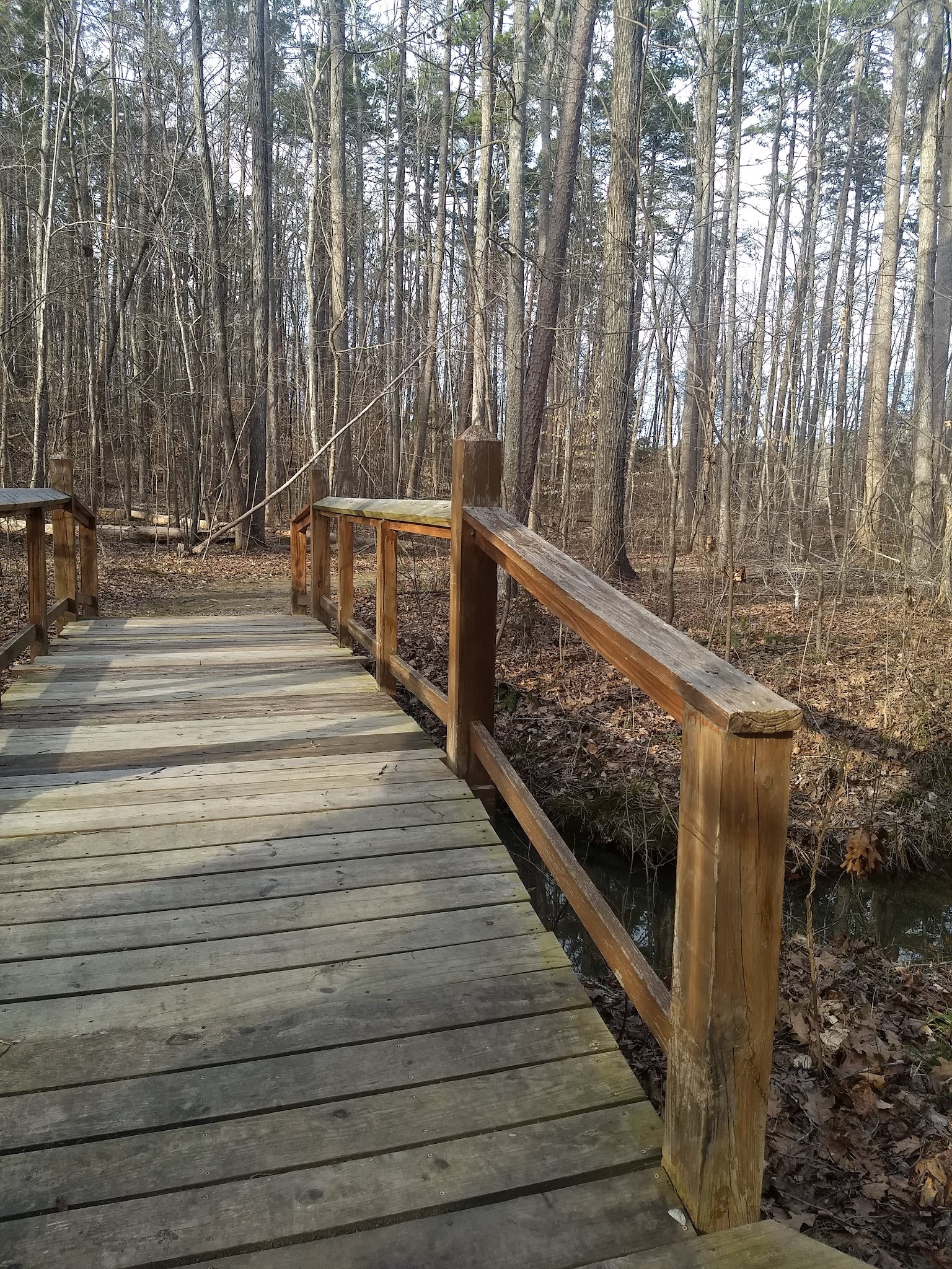 Twin Lakes Campground