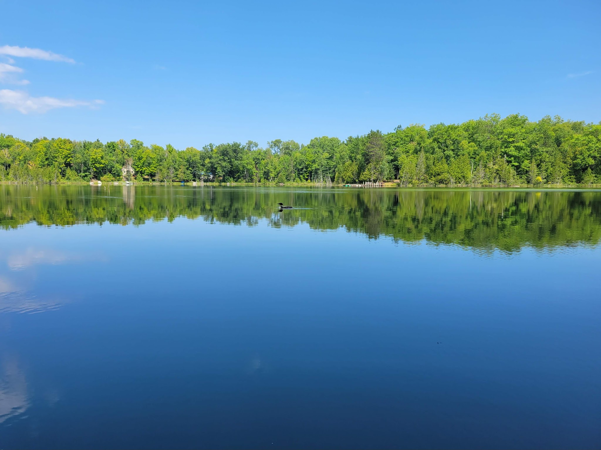 Twin Lakes State Forest Campground