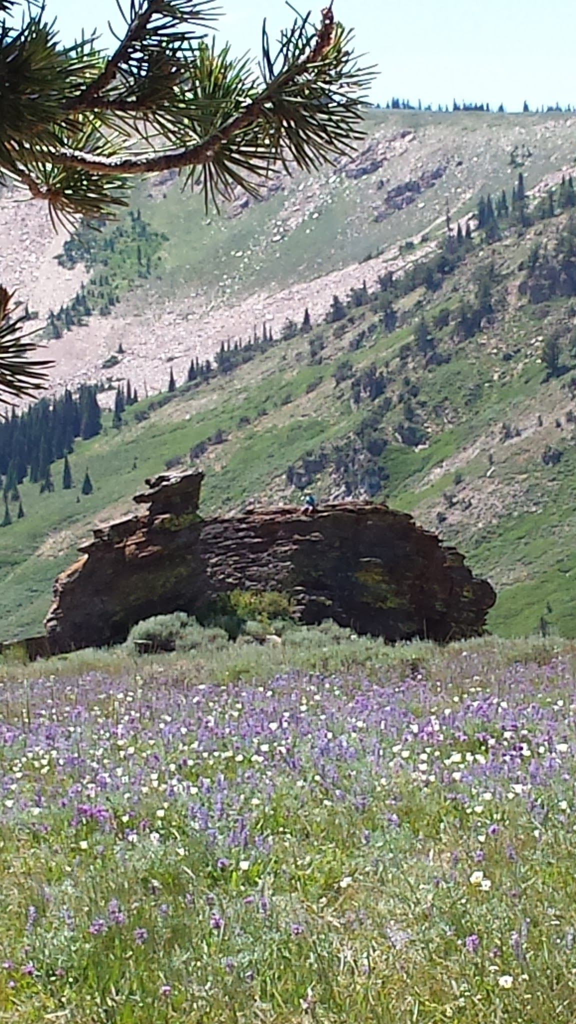 Twin Lakes Campground (Albion Division)