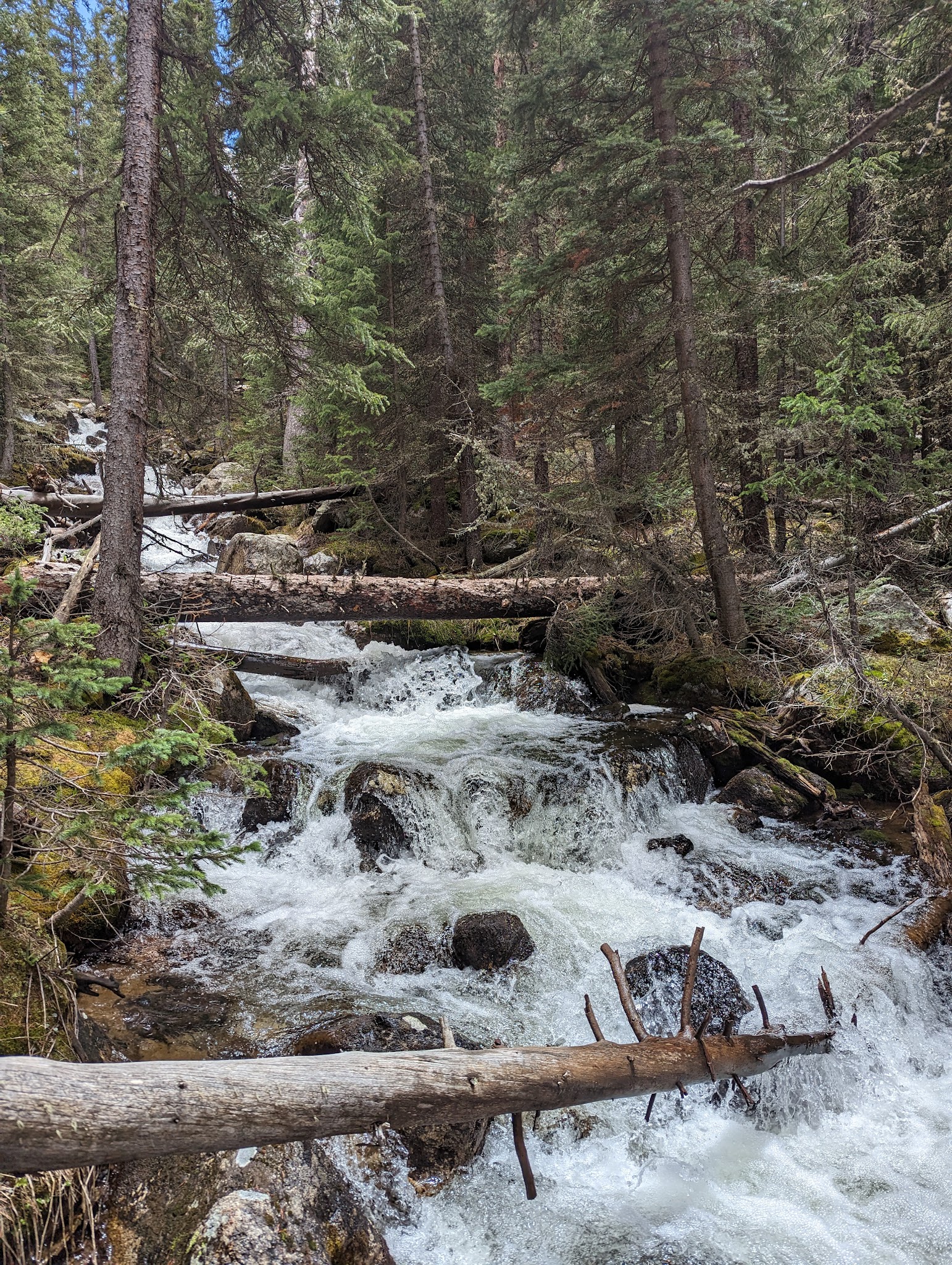 Twin Peaks Campground