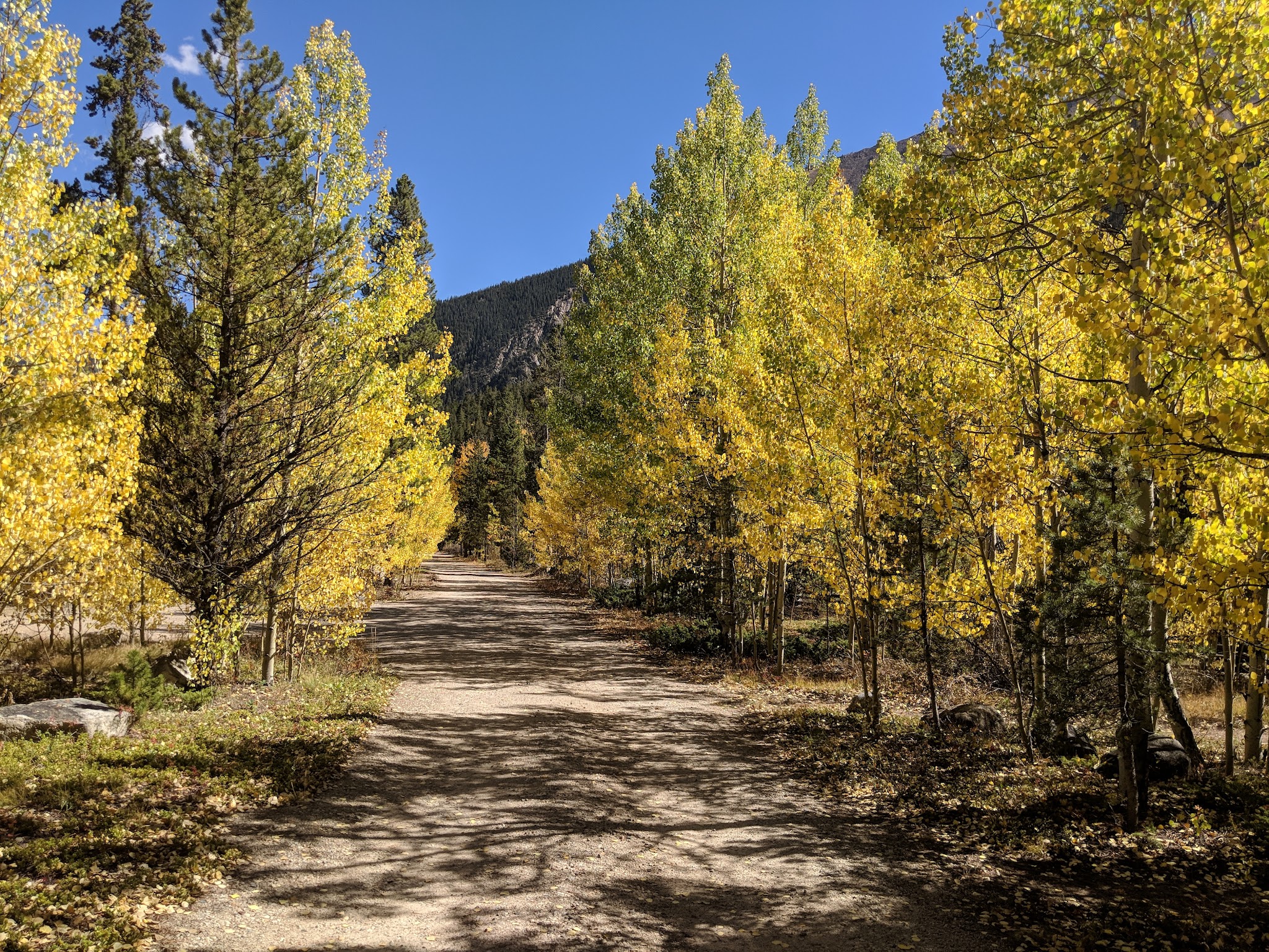 Twin Peaks Campground