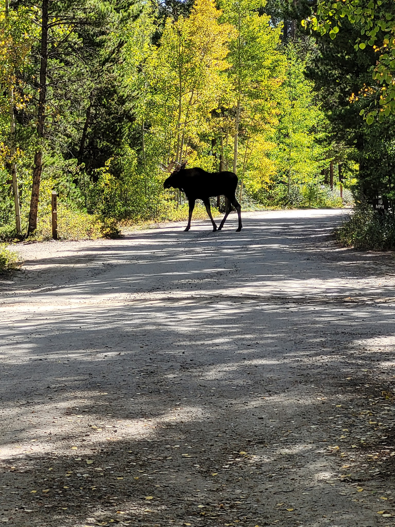 Twin Peaks Campground