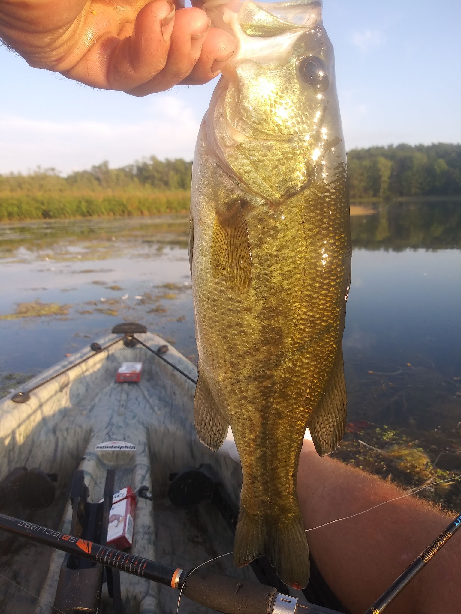 Twinwood Lake Campground