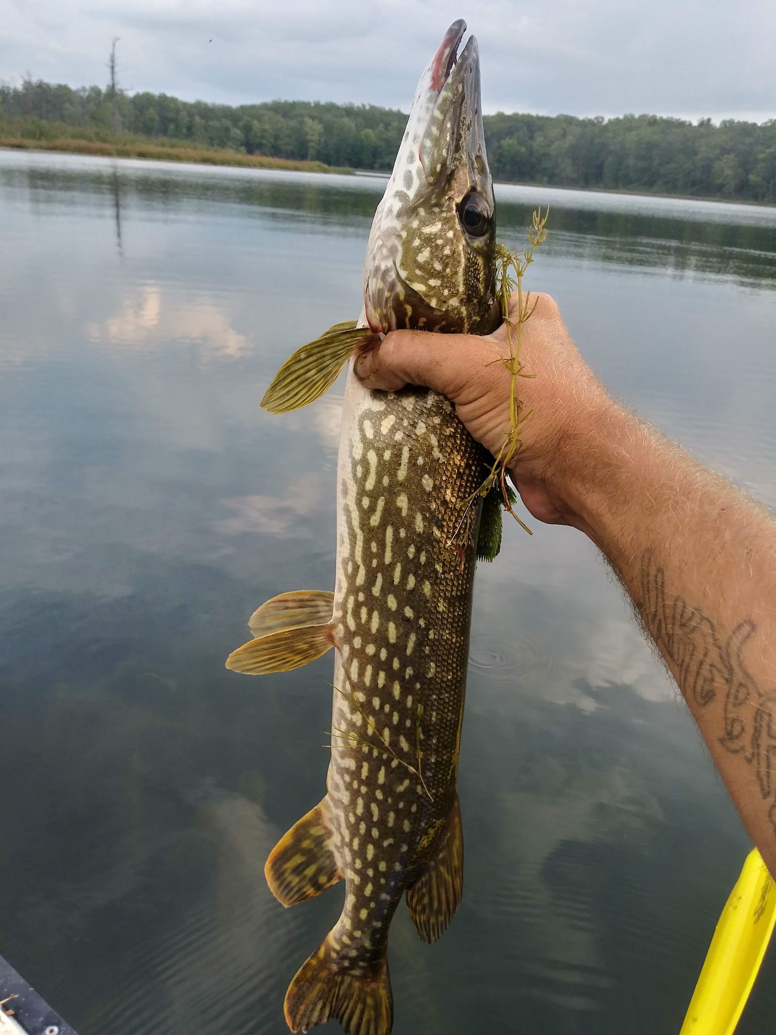 Twinwood Lake Campground