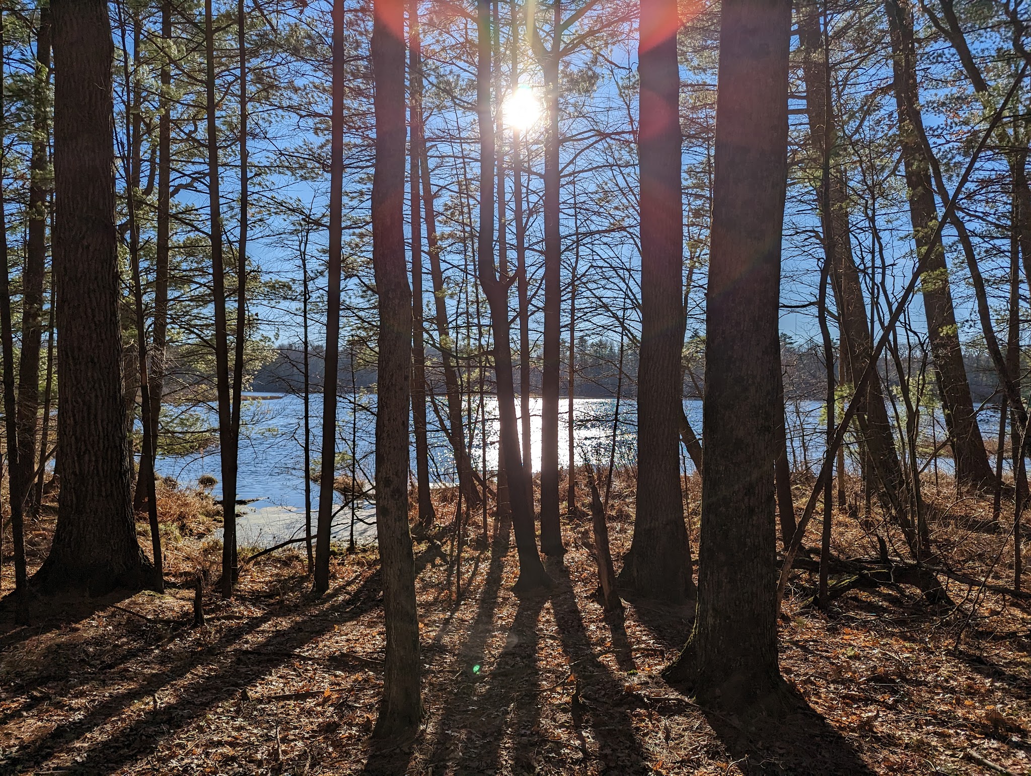 Twinwood Lake Campground