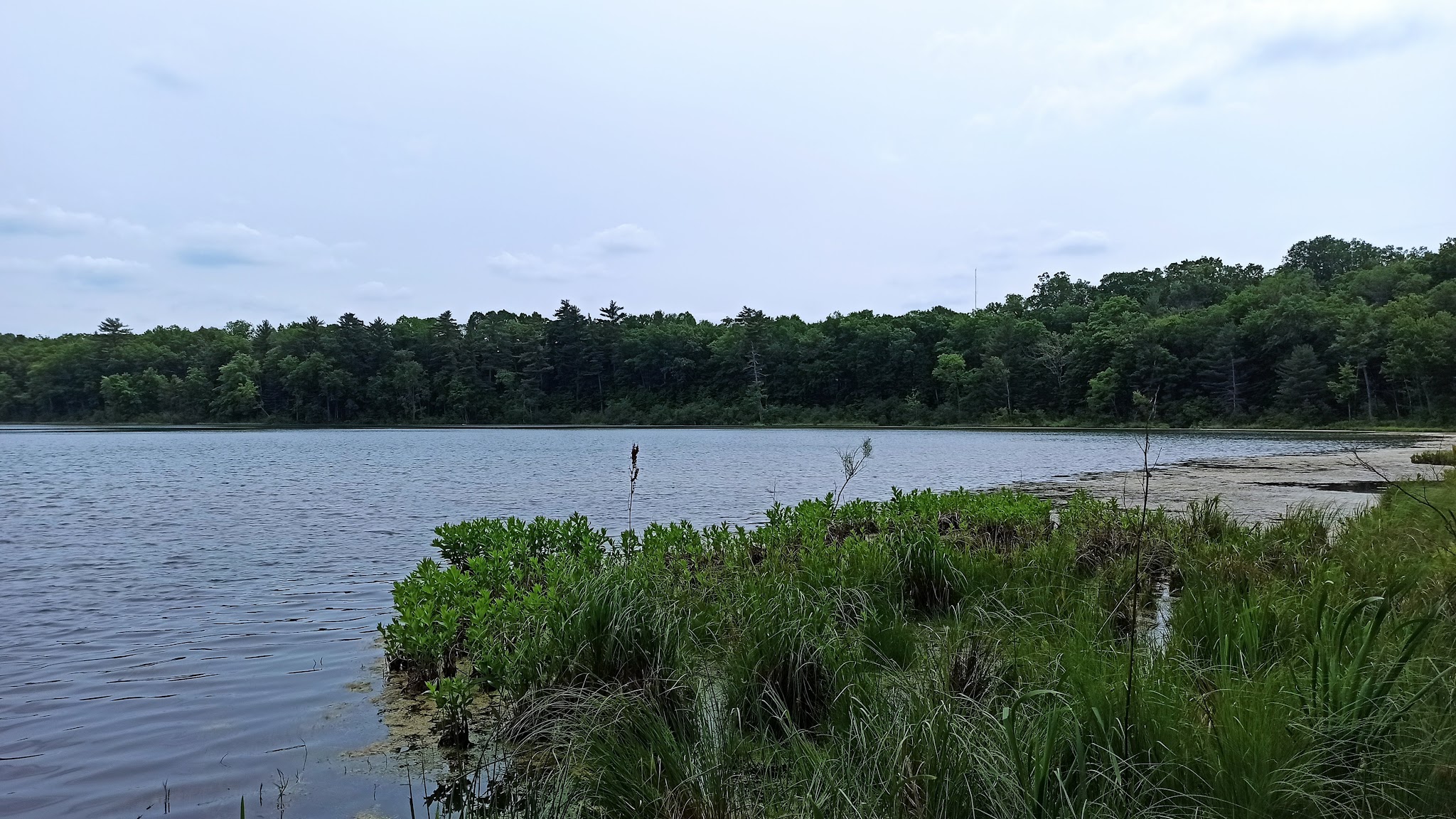 Twinwood Lake Campground