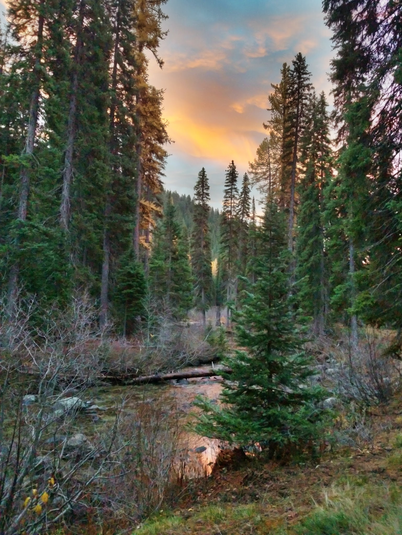 Two Color Campground