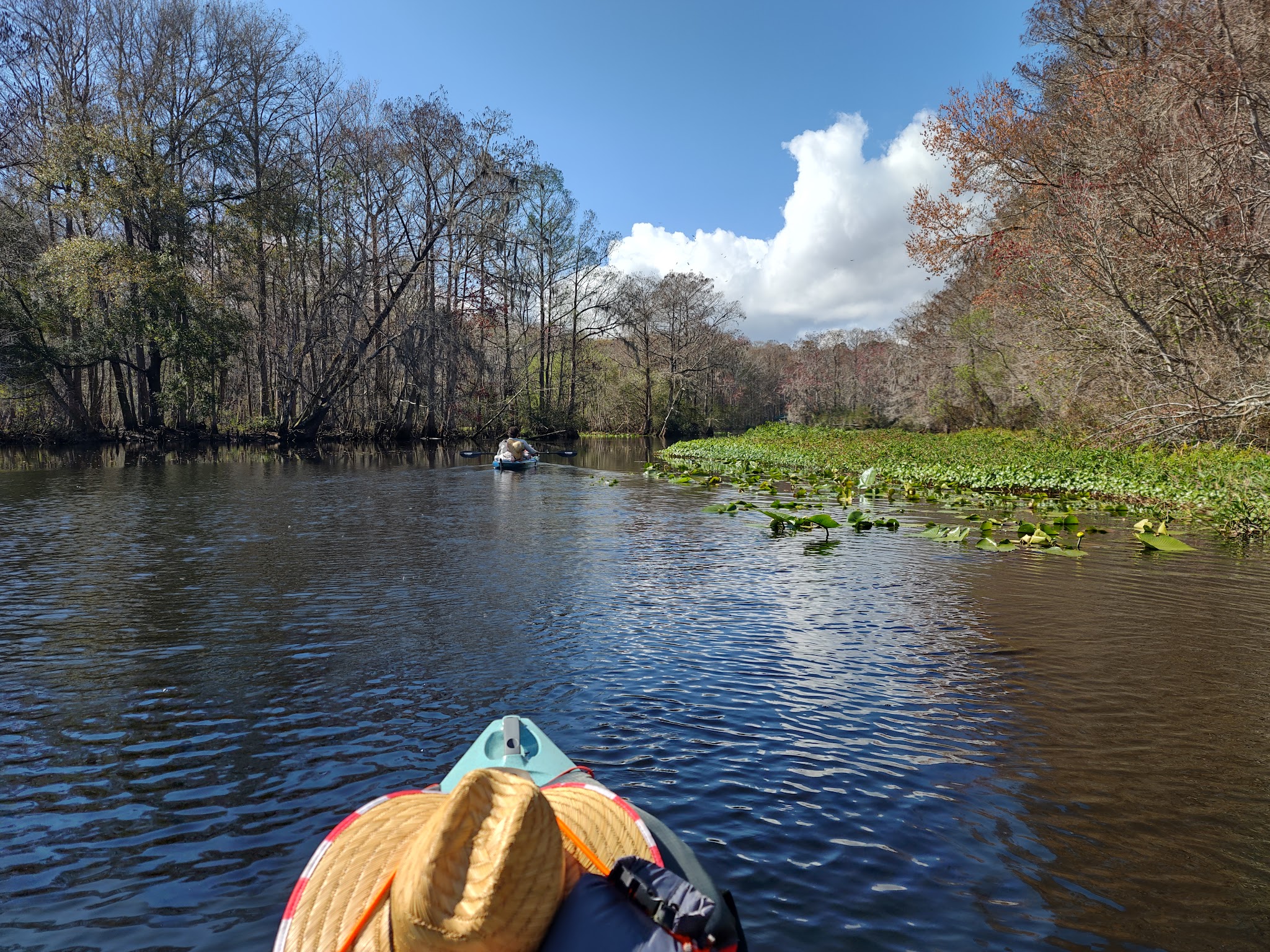 Two Mile Prairie Tract Oxbow Primitive Camp Zone Paddle In Withlacoochee State Forest 