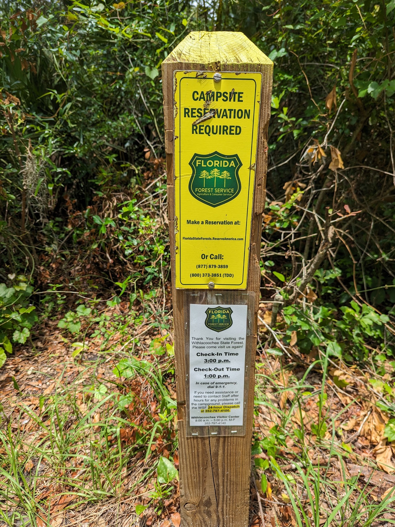 Two Mile Prairie Tract Oxbow Primitive Camp Zone Paddle In Withlacoochee State Forest 