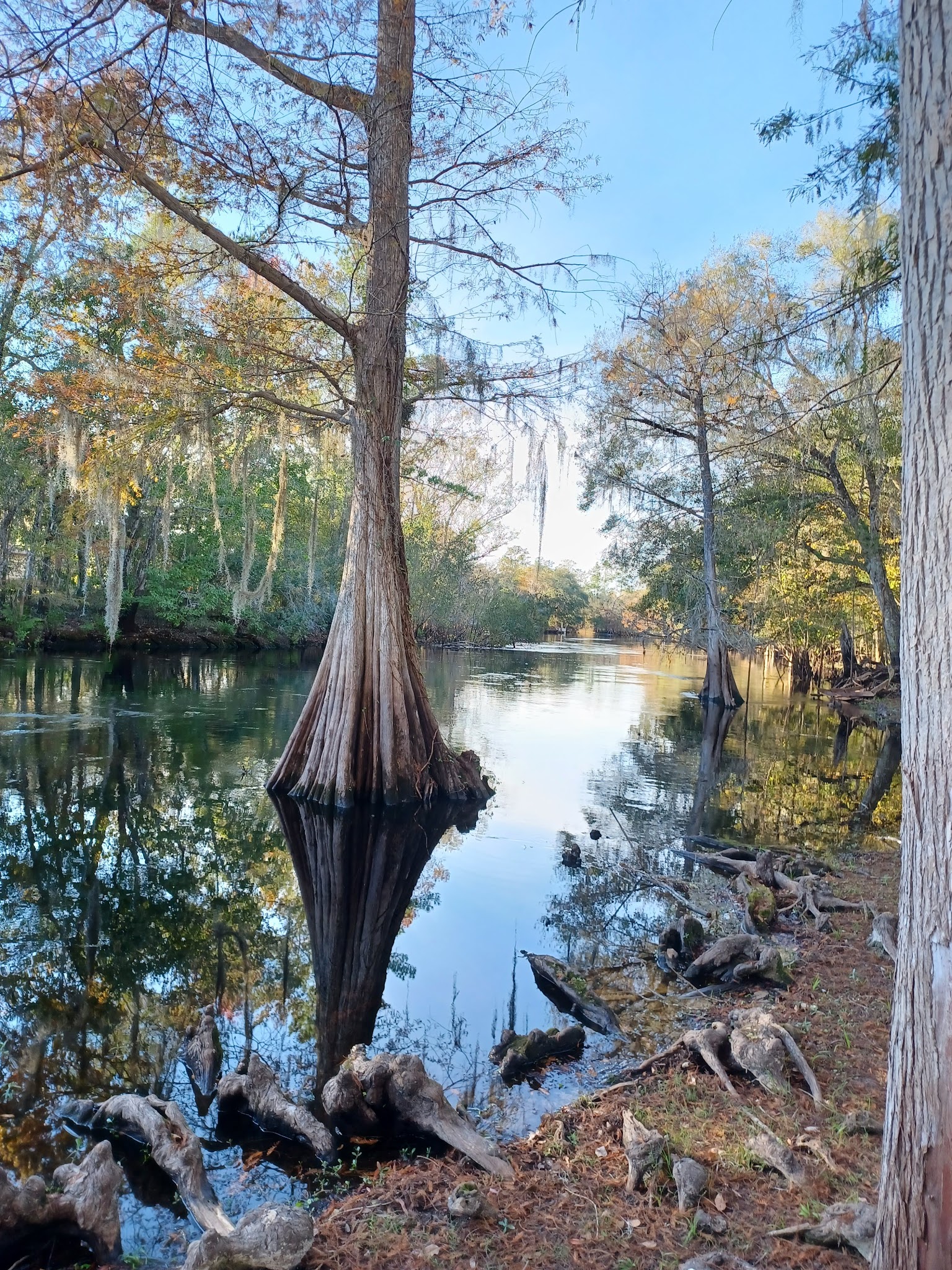 Two Mile Prairie Tract Oxbow Primitive Camp Zone Paddle In Withlacoochee State Forest 