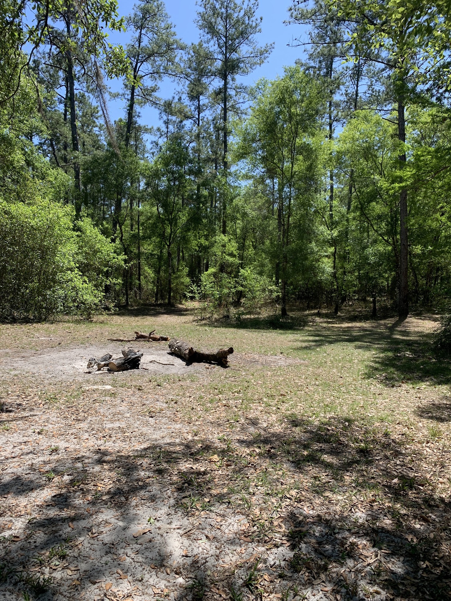 Two Mile Prairie Tract Oxbow Primitive Camp Zone Paddle In Withlacoochee State Forest 