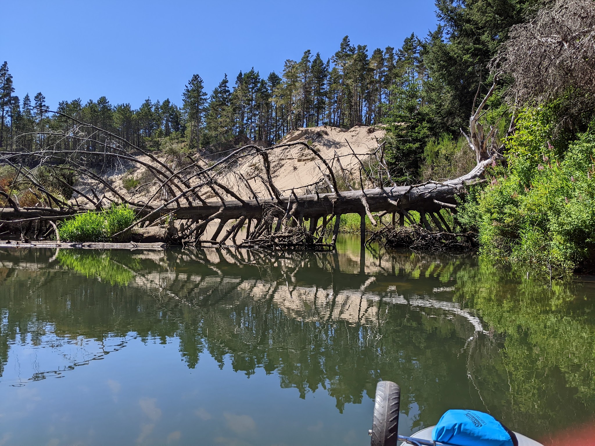 Tyee Campground - Oregon Dunes