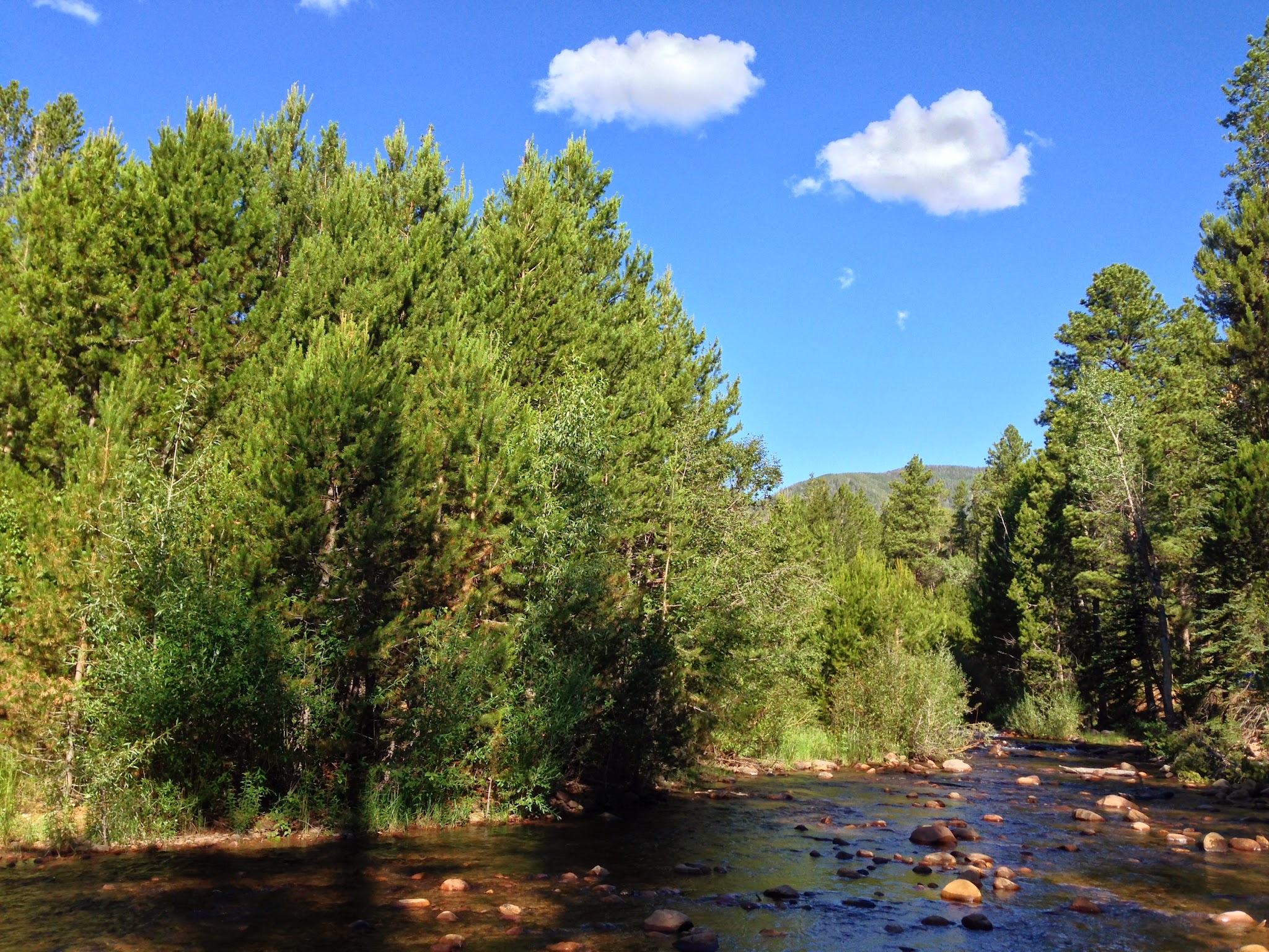 Uinta Canyon Campground