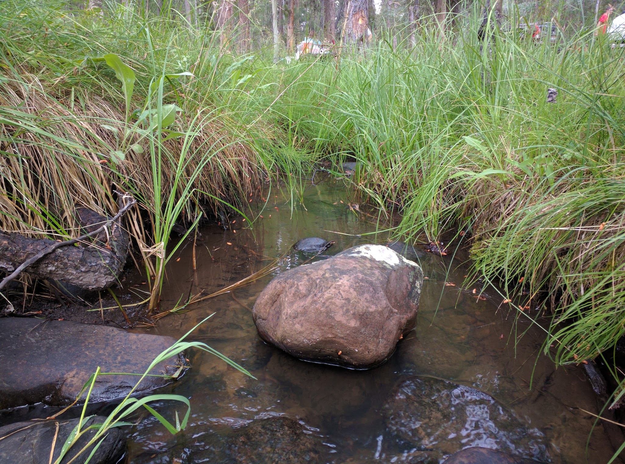 Uinta Canyon Campground