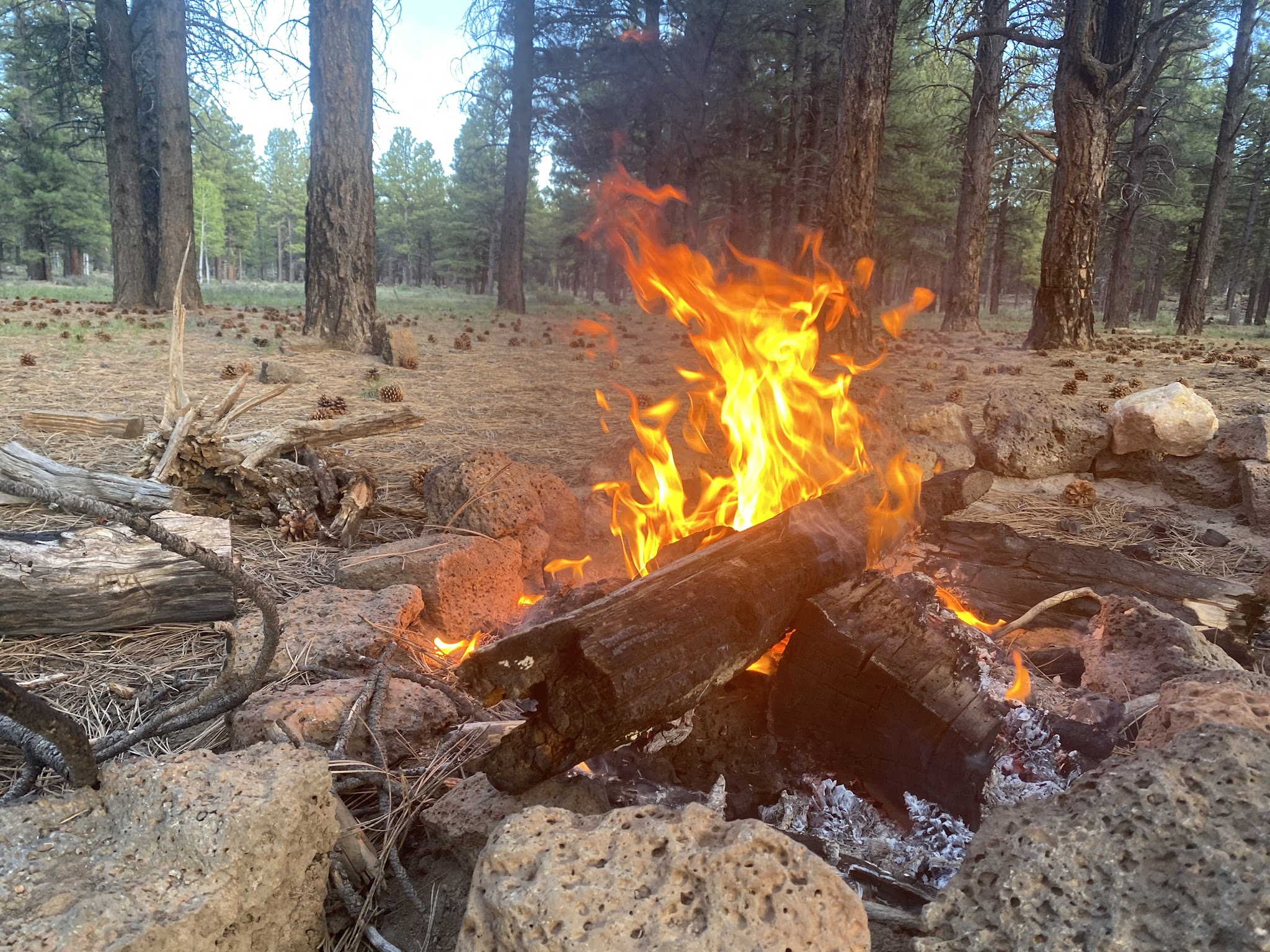 Uinta Flat Designated Dispersed Camping Area