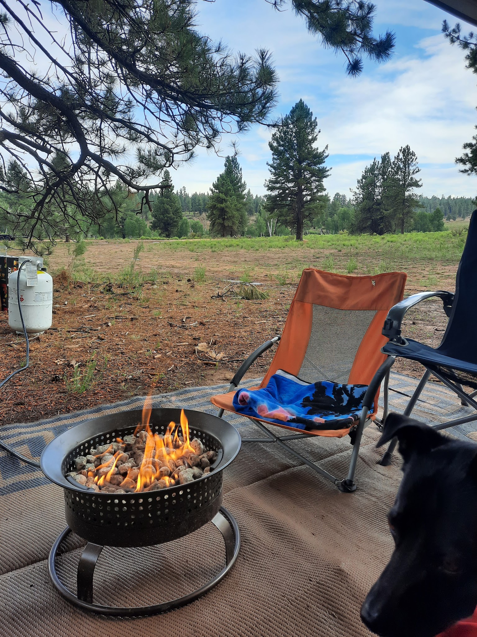 Uinta Flat Designated Dispersed Camping Area