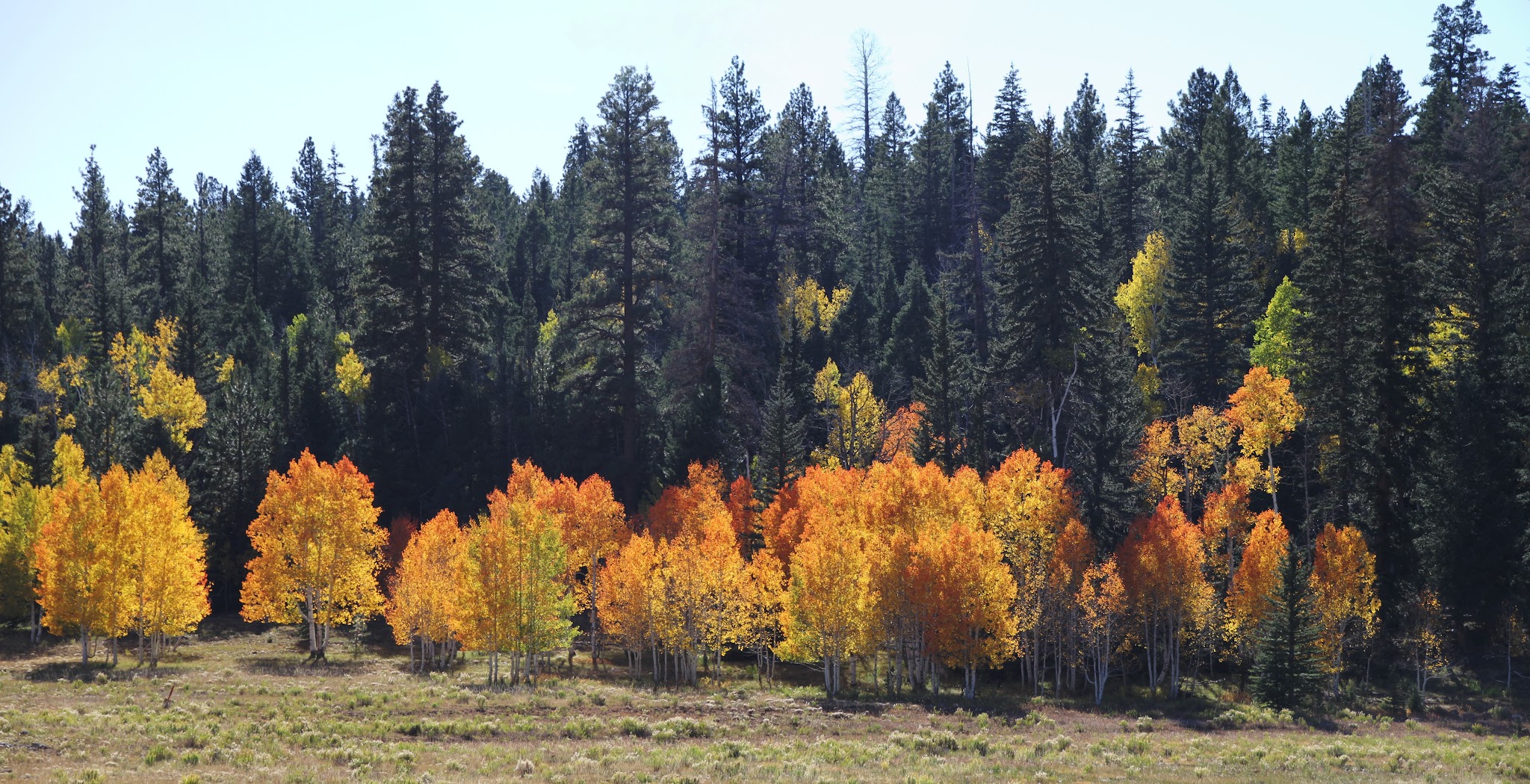 Uinta Flat Designated Dispersed Camping Area