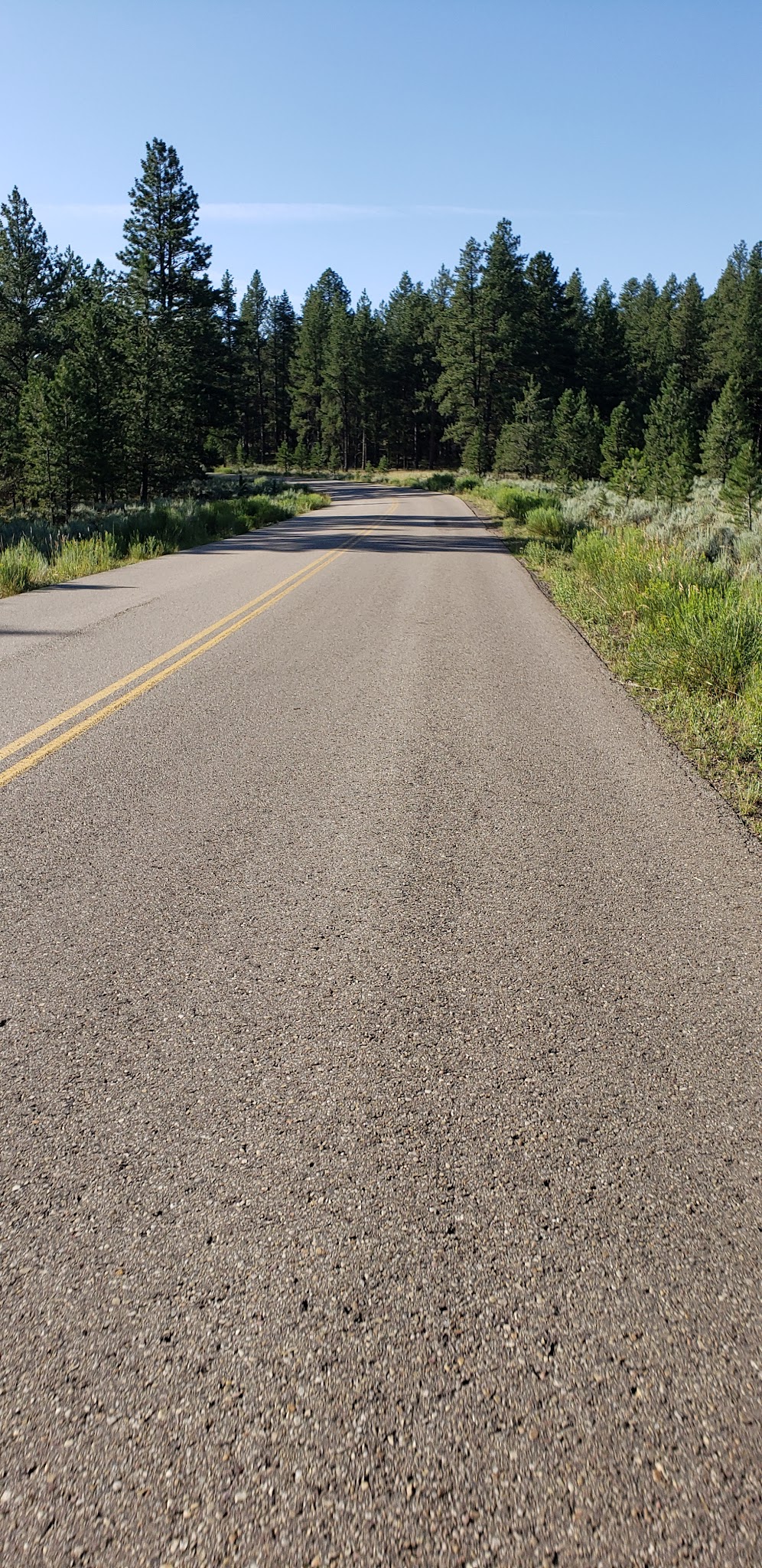 Uinta River Group Campground