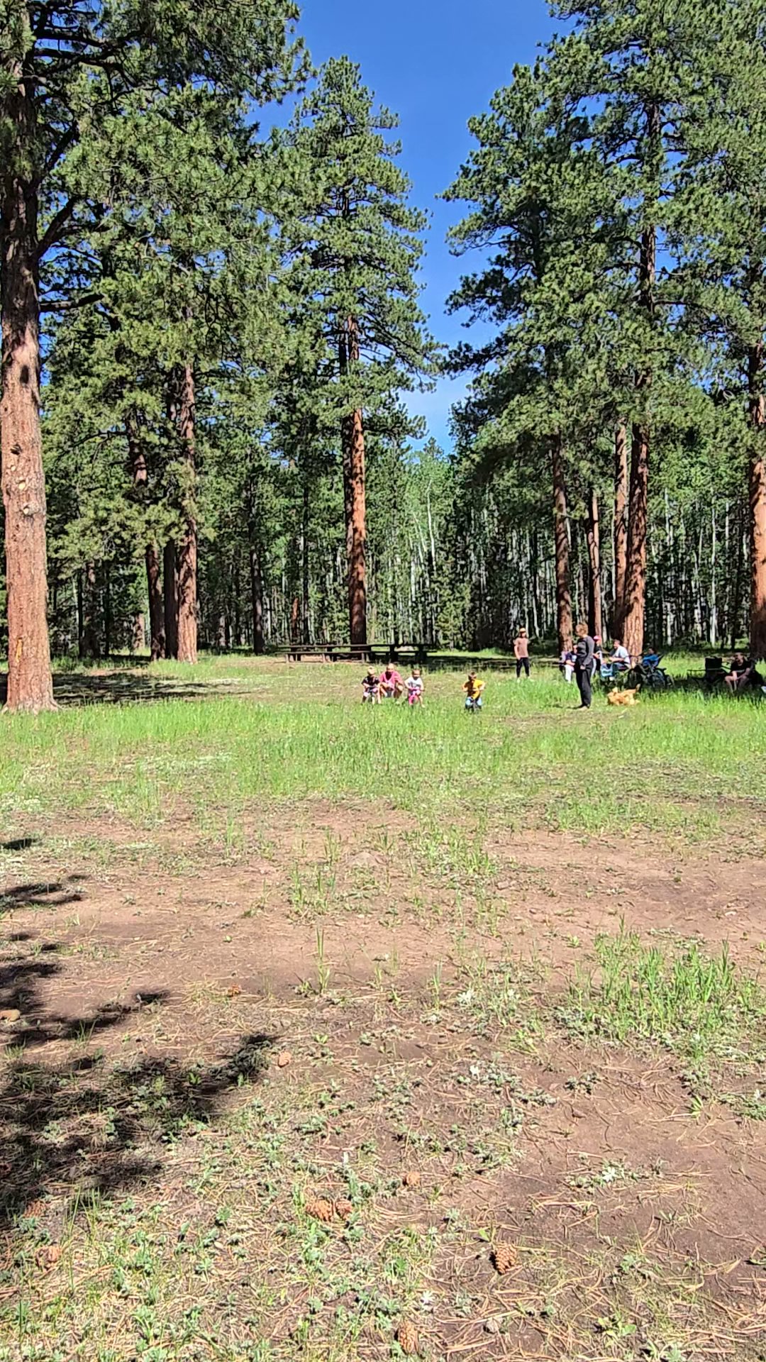 Uinta River Group Campground