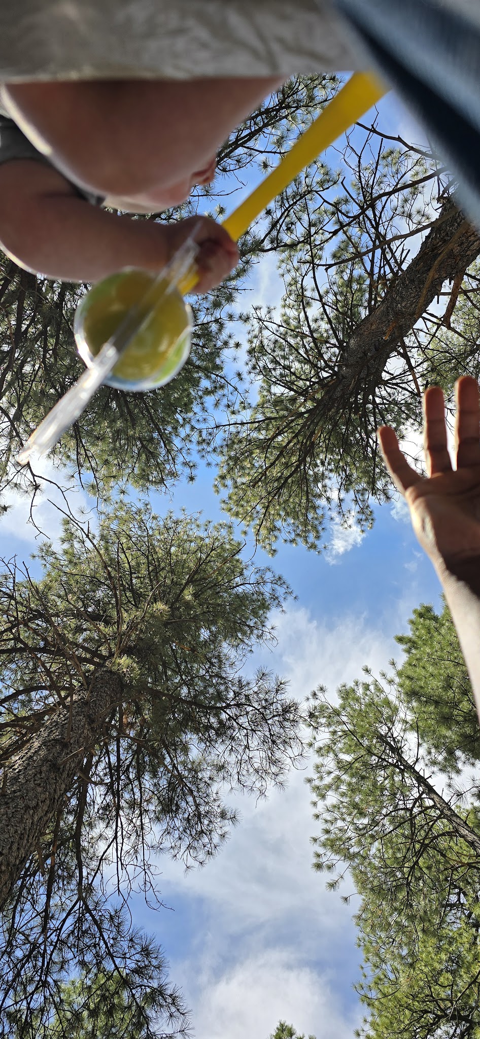 Uinta River Group Campground
