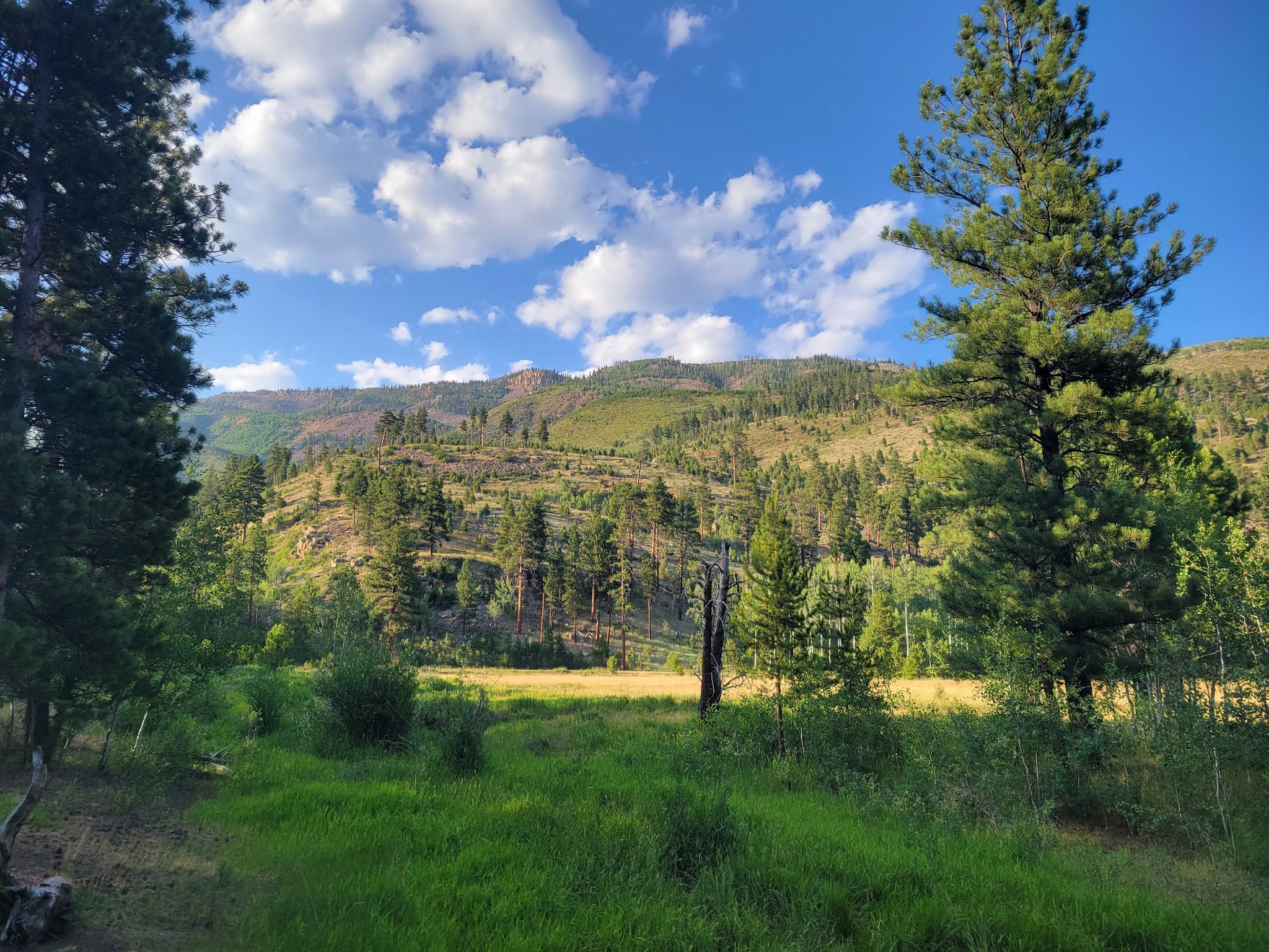 Uinta River Group Campground