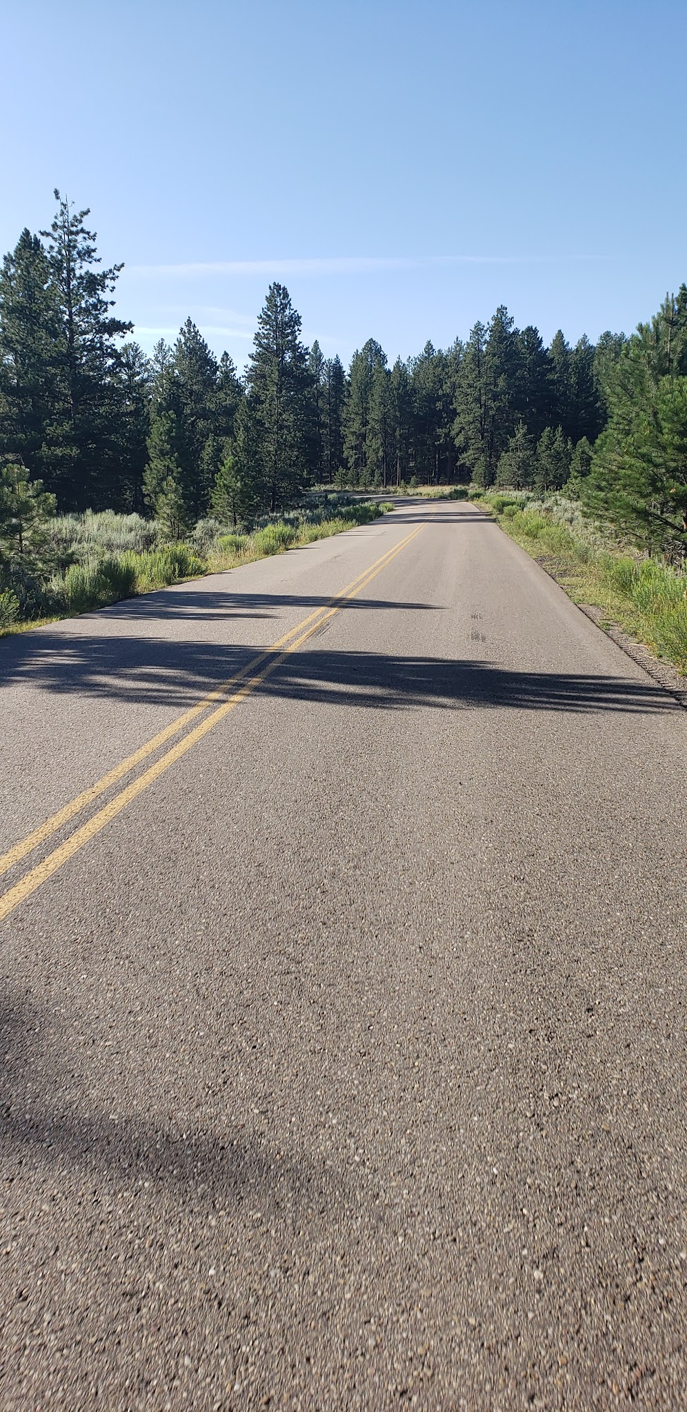 Uinta River Group Campground