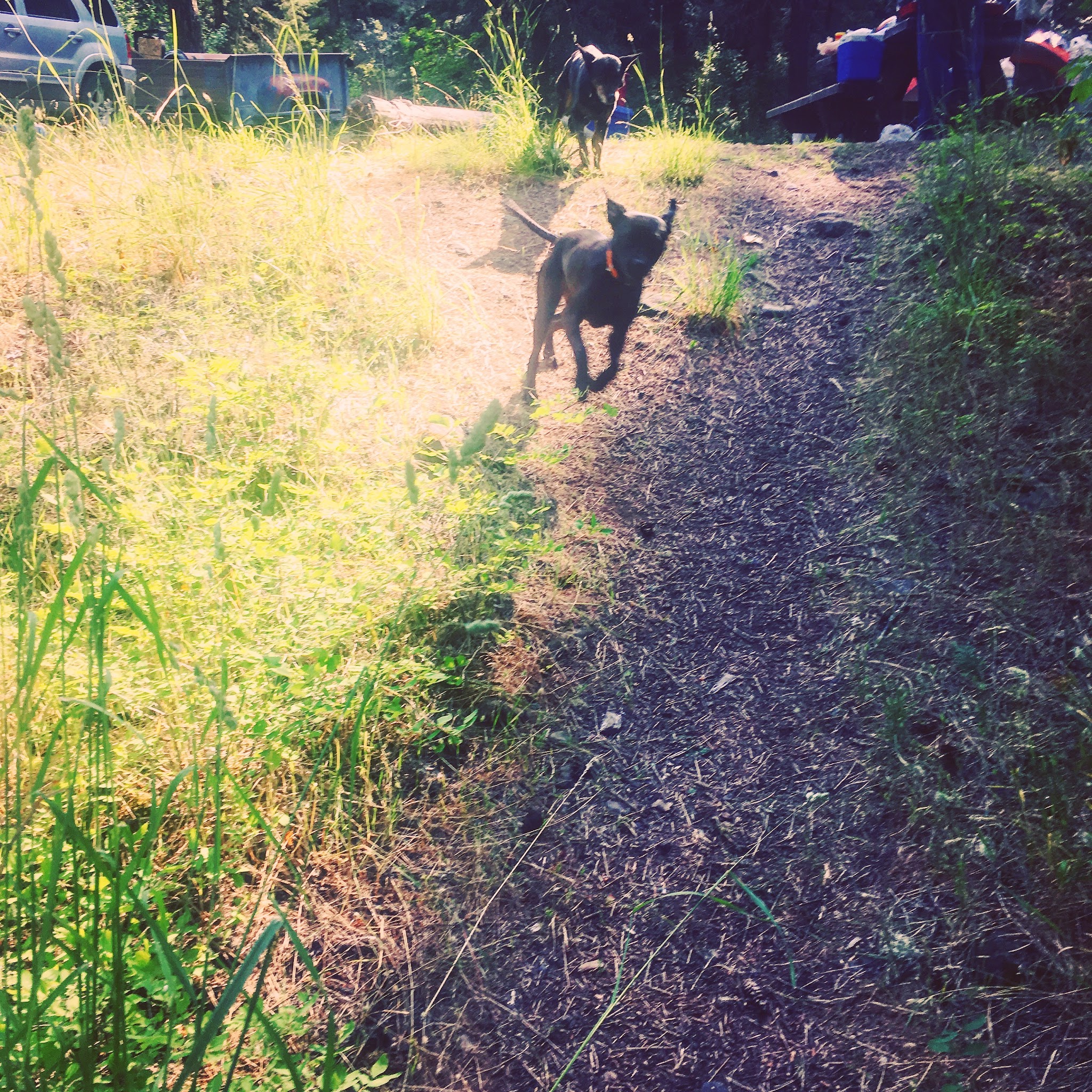 Umatilla Forks Campground