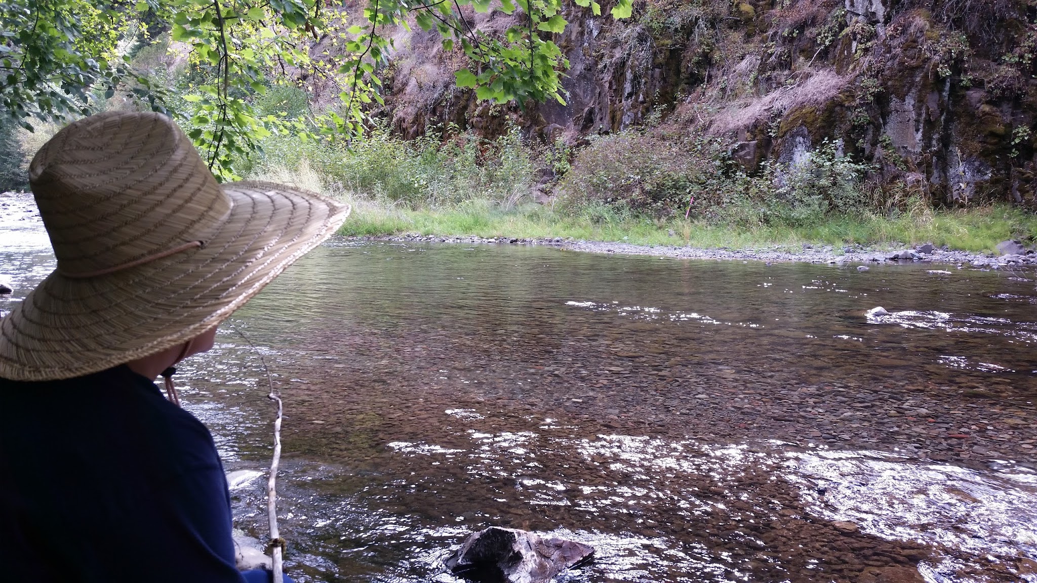 Umatilla Forks Campground
