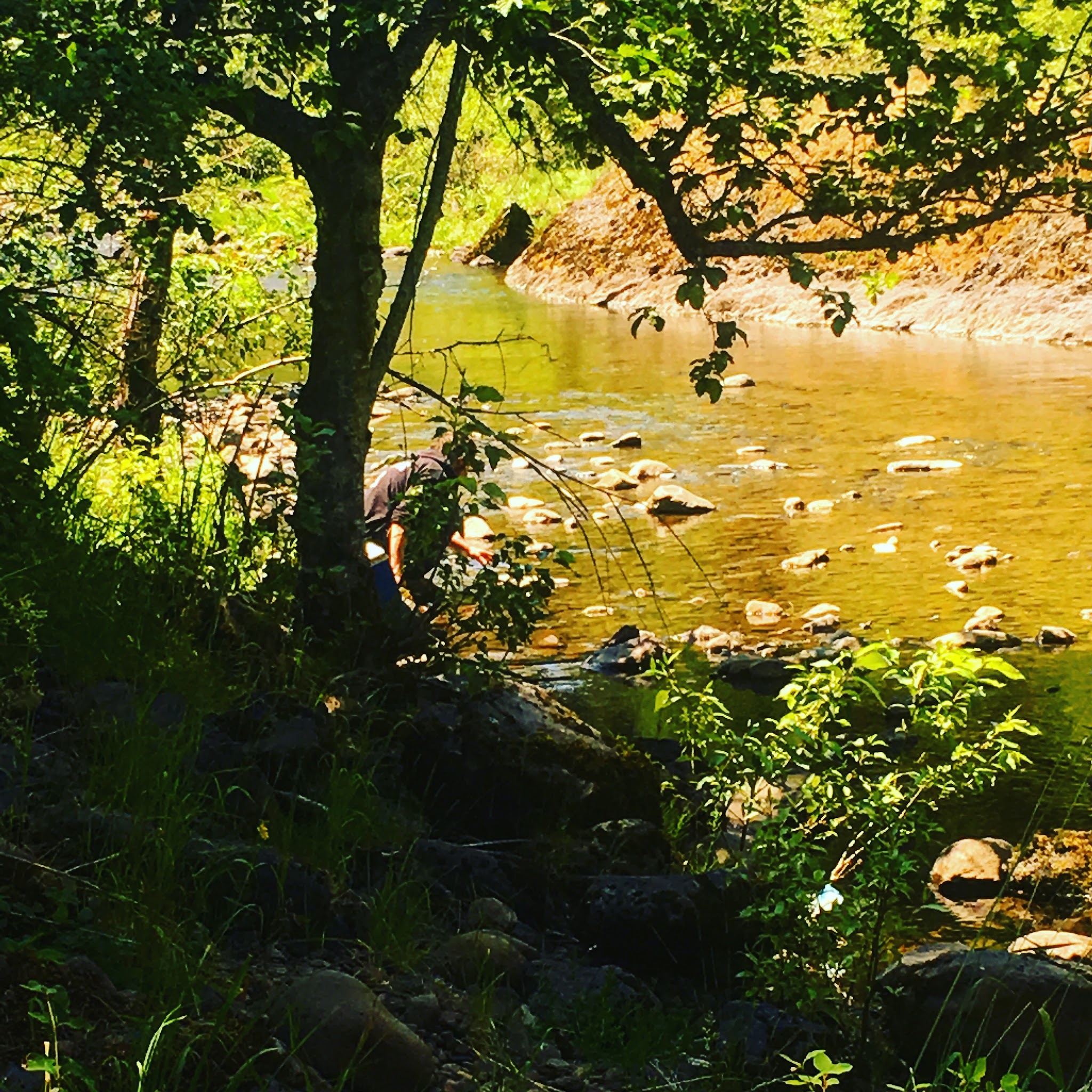 Umatilla Forks Campground