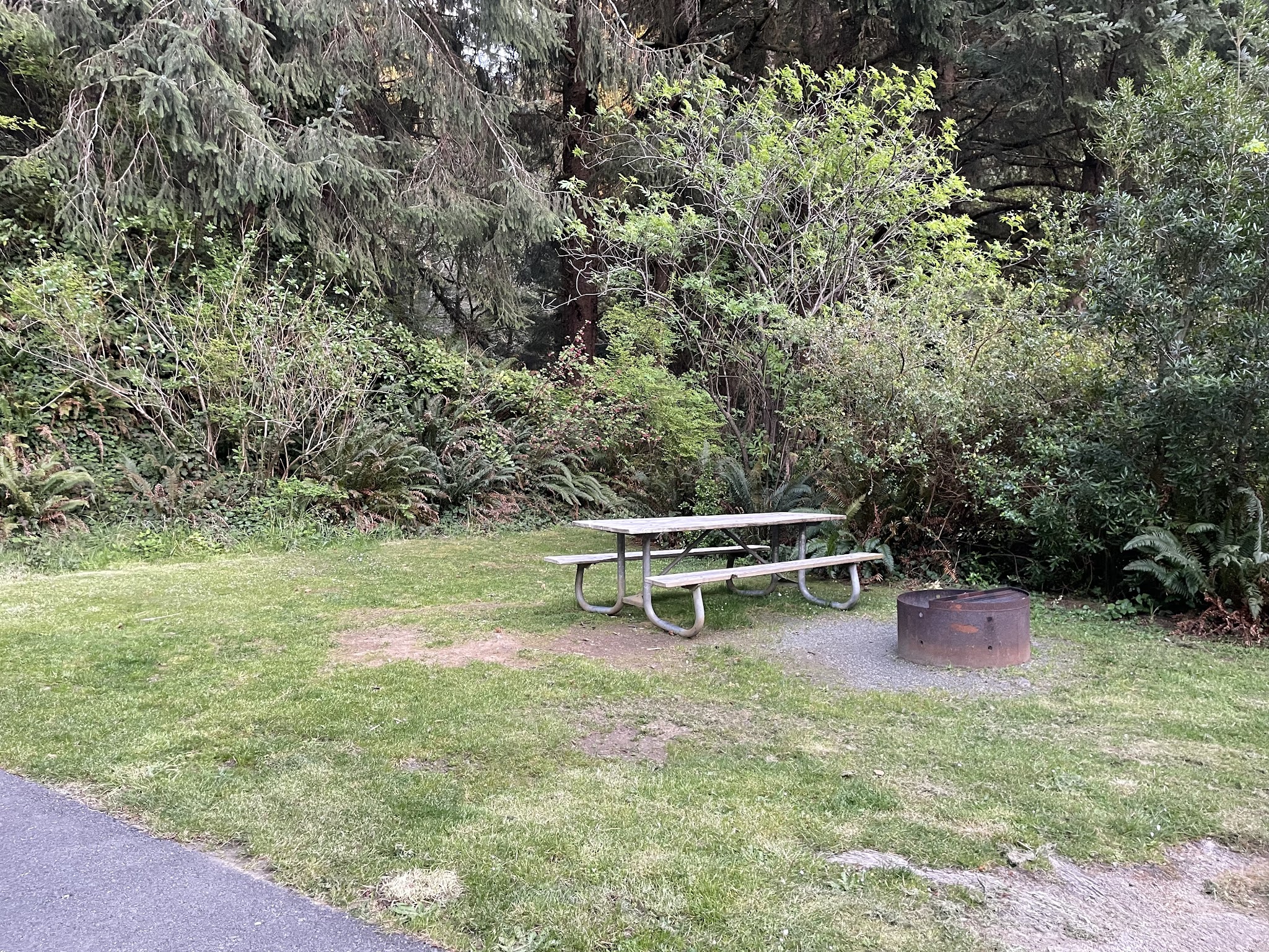 Umpqua Lighthouse State Park