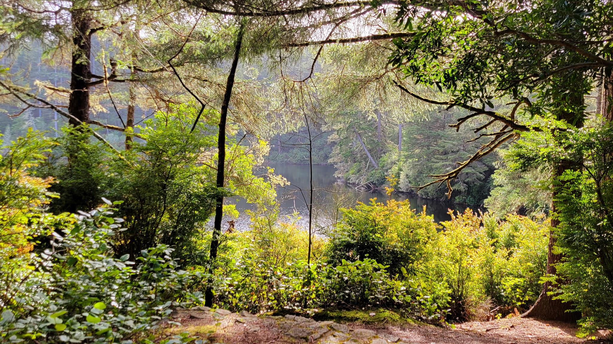 Umpqua Lighthouse State Park