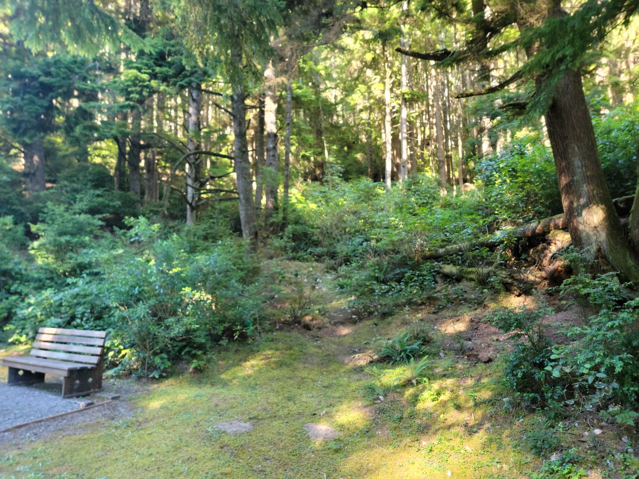 Umpqua Lighthouse State Park